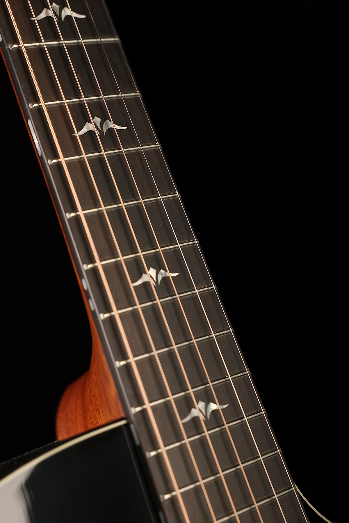 Furch Eclipse Performance Ivory Gc-ER a SPA Acoustic Electric Guitar