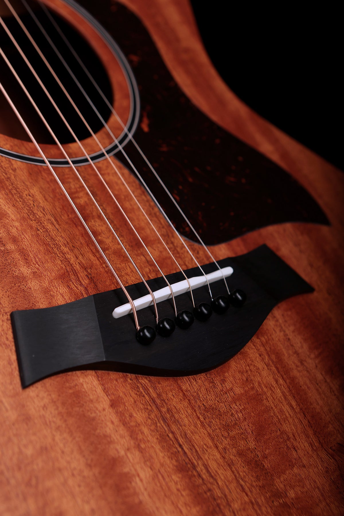 Taylor 24ce 'Mahogany / Sapele' Acoustic Electric Guitar - Acoustic Centre Music Store, Melbourne Australia