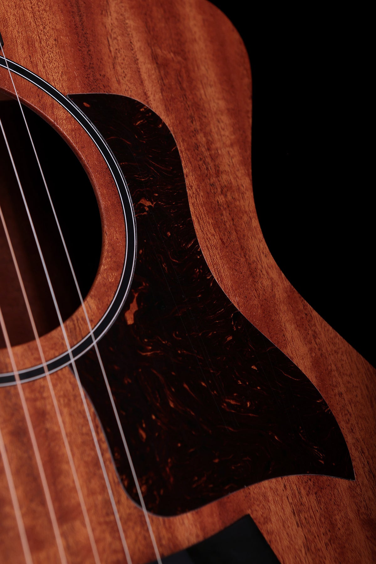 Taylor 24ce 'Mahogany / Sapele' Acoustic Electric Guitar - Acoustic Centre Music Store, Melbourne Australia