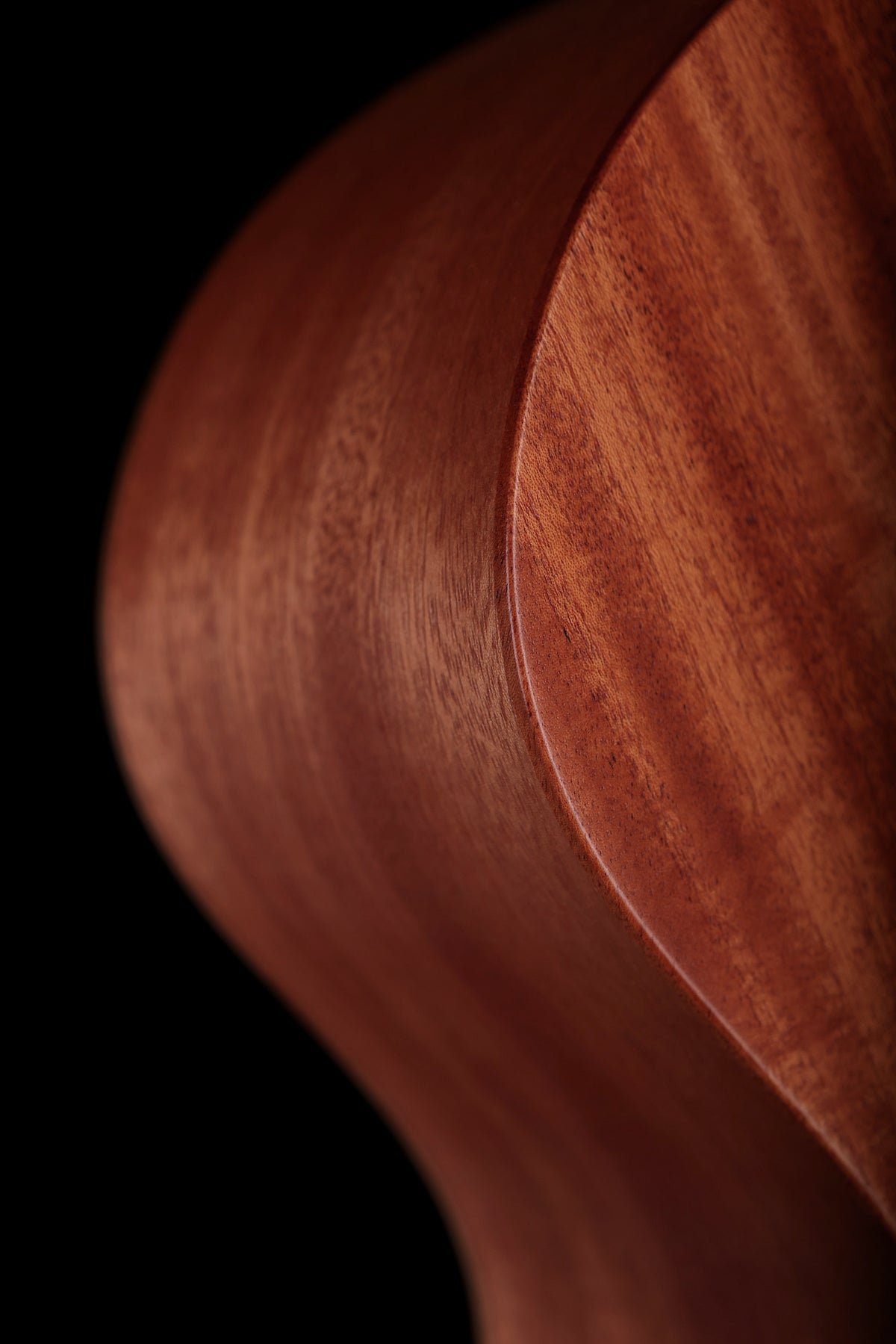 Taylor 24ce 'Mahogany / Sapele' Acoustic Electric Guitar - Acoustic Centre Music Store, Melbourne Australia