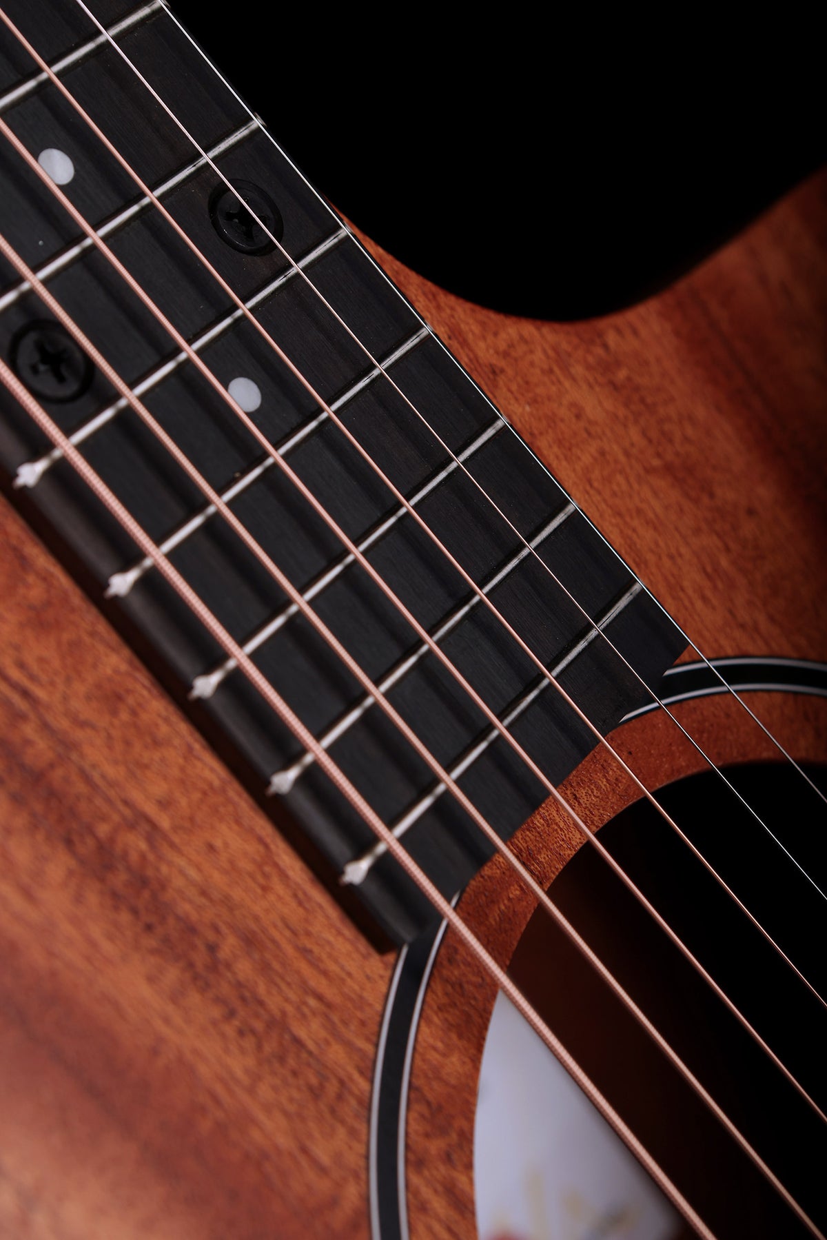 Taylor 24ce 'Mahogany / Sapele' Acoustic Electric Guitar - Acoustic Centre Music Store, Melbourne Australia