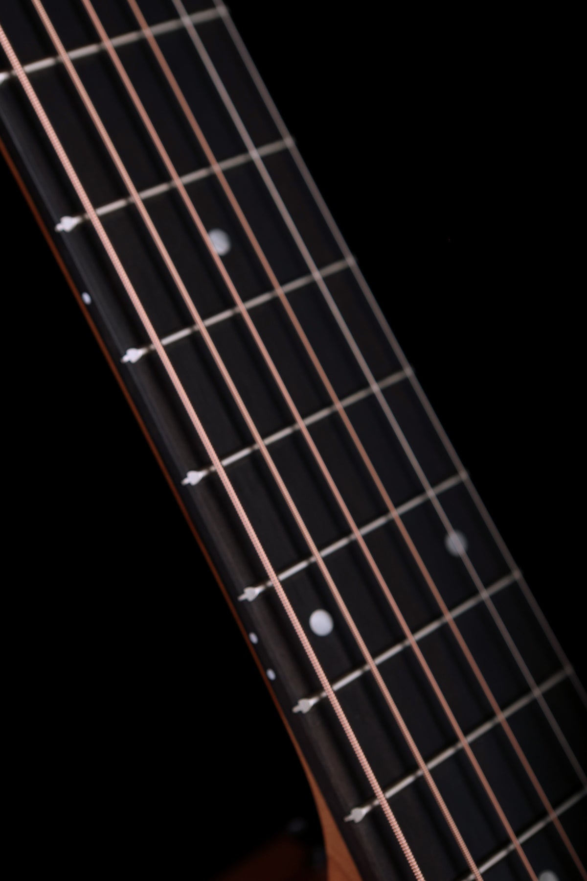 Taylor 24ce 'Mahogany / Sapele' Acoustic Electric Guitar - Acoustic Centre Music Store, Melbourne Australia