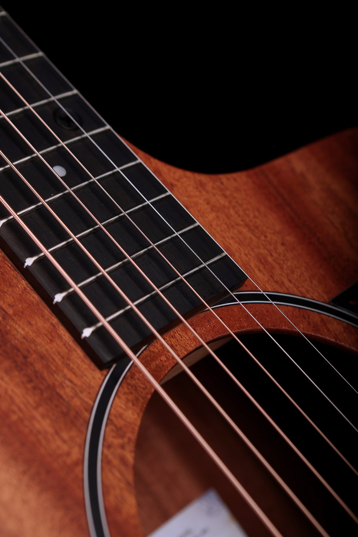 Taylor 24ce 'Mahogany / Sapele' Acoustic Electric Guitar - Acoustic Centre Music Store, Melbourne Australia