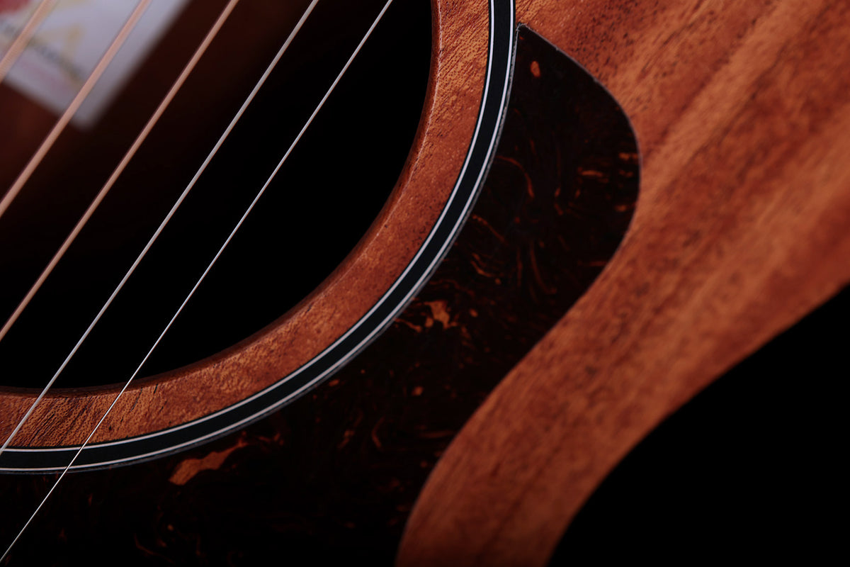 Taylor 24ce 'Mahogany / Sapele' Acoustic Electric Guitar - Acoustic Centre Music Store, Melbourne Australia