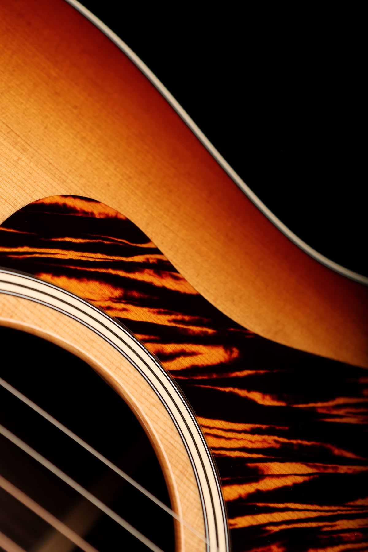 Taylor 717e Gold Label Grand Pacific &#39;Sunburst&#39; Acoustic Electric Guitar - Shop Soiled! - Acoustic Centre Music Store, Melbourne Australia