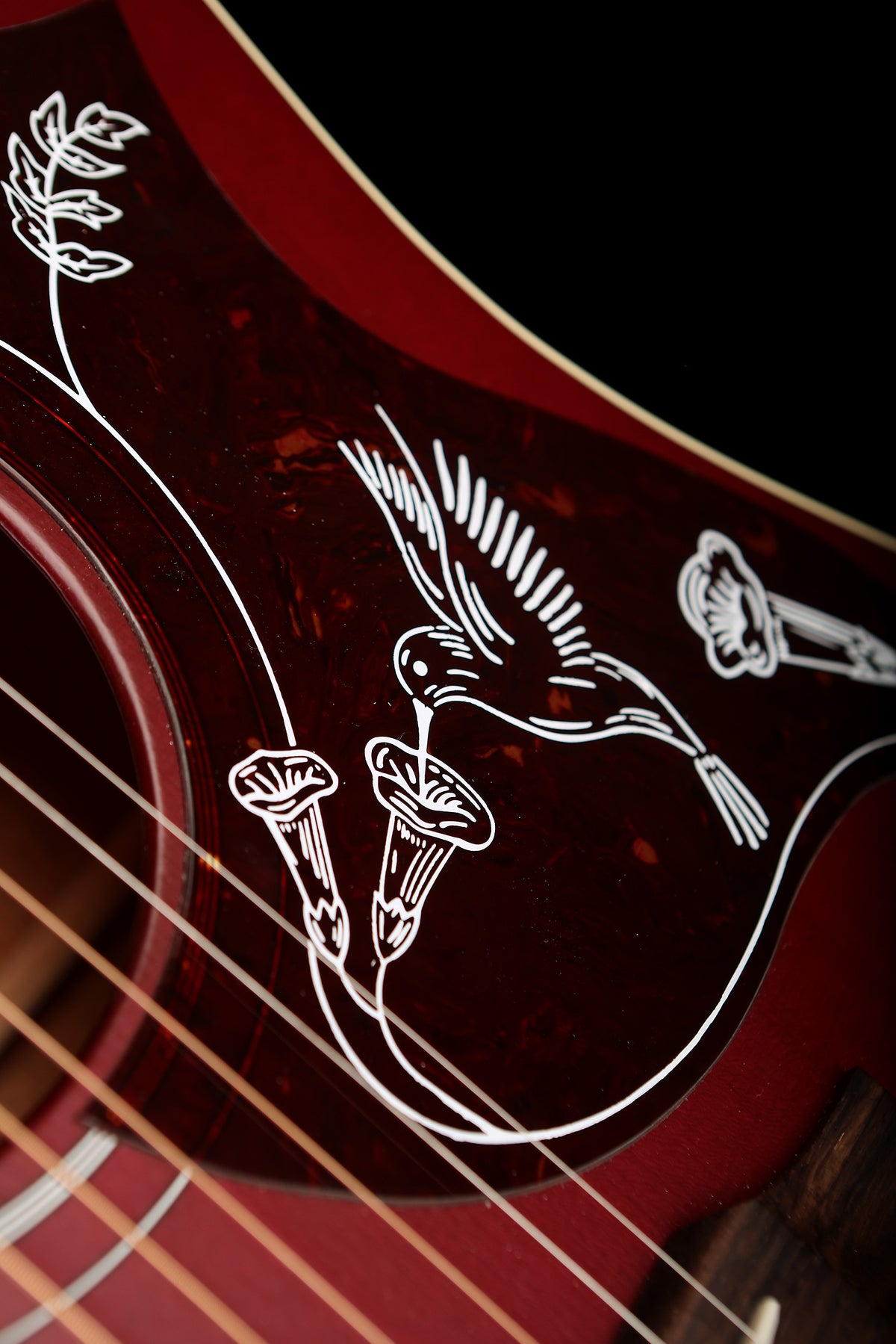 Gibson’s Hummingbird Special Satin &#39;Wine Red&#39; Acoustic Electric Guitar - Acoustic Centre Music Store, Melbourne Australia