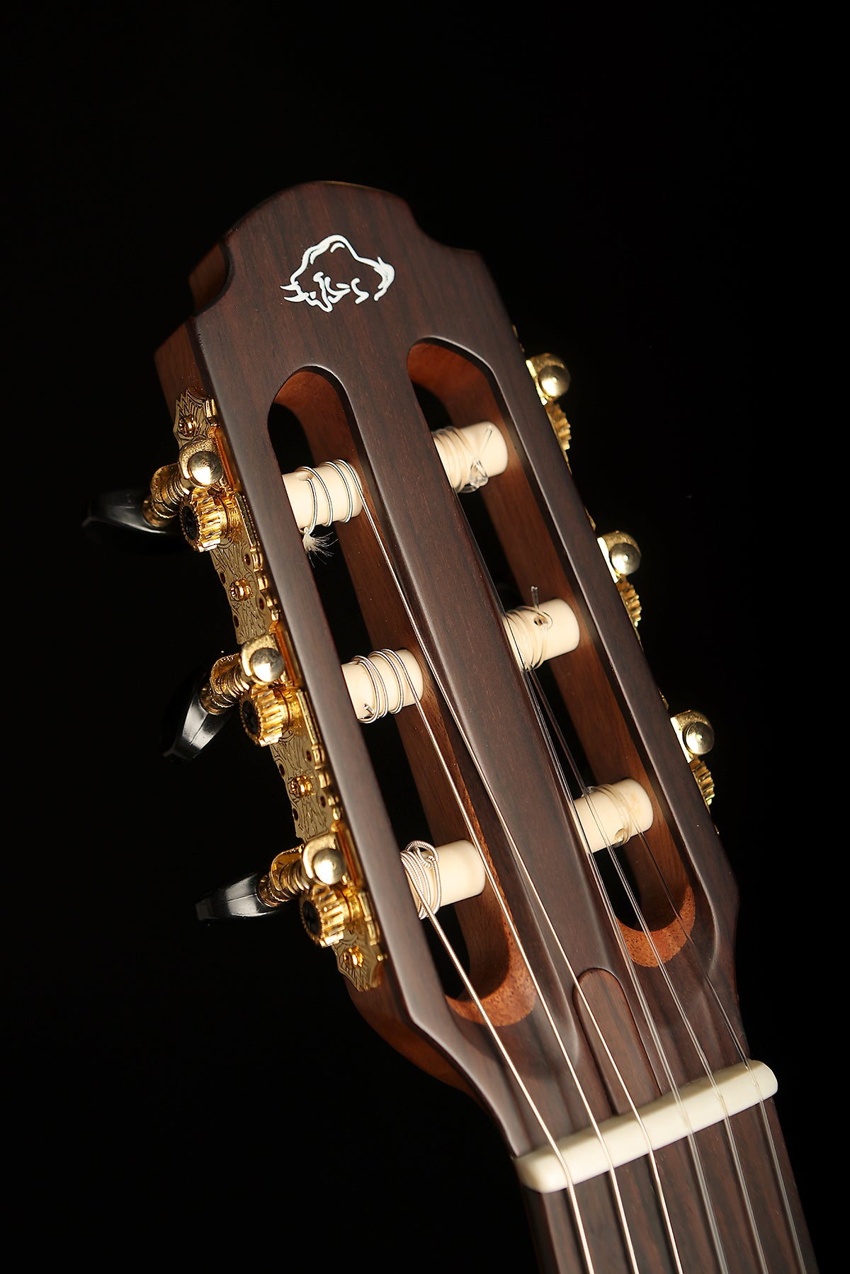 Altamira FZ-2 Fusion Series Crossover Nylon Classical Electric Guitar