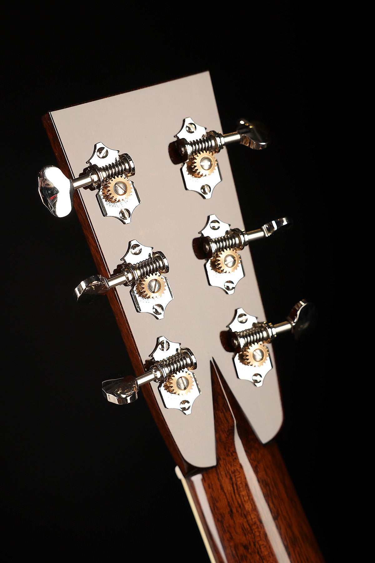 Collings CW Indian A Dreadnought Acoustic Guitar