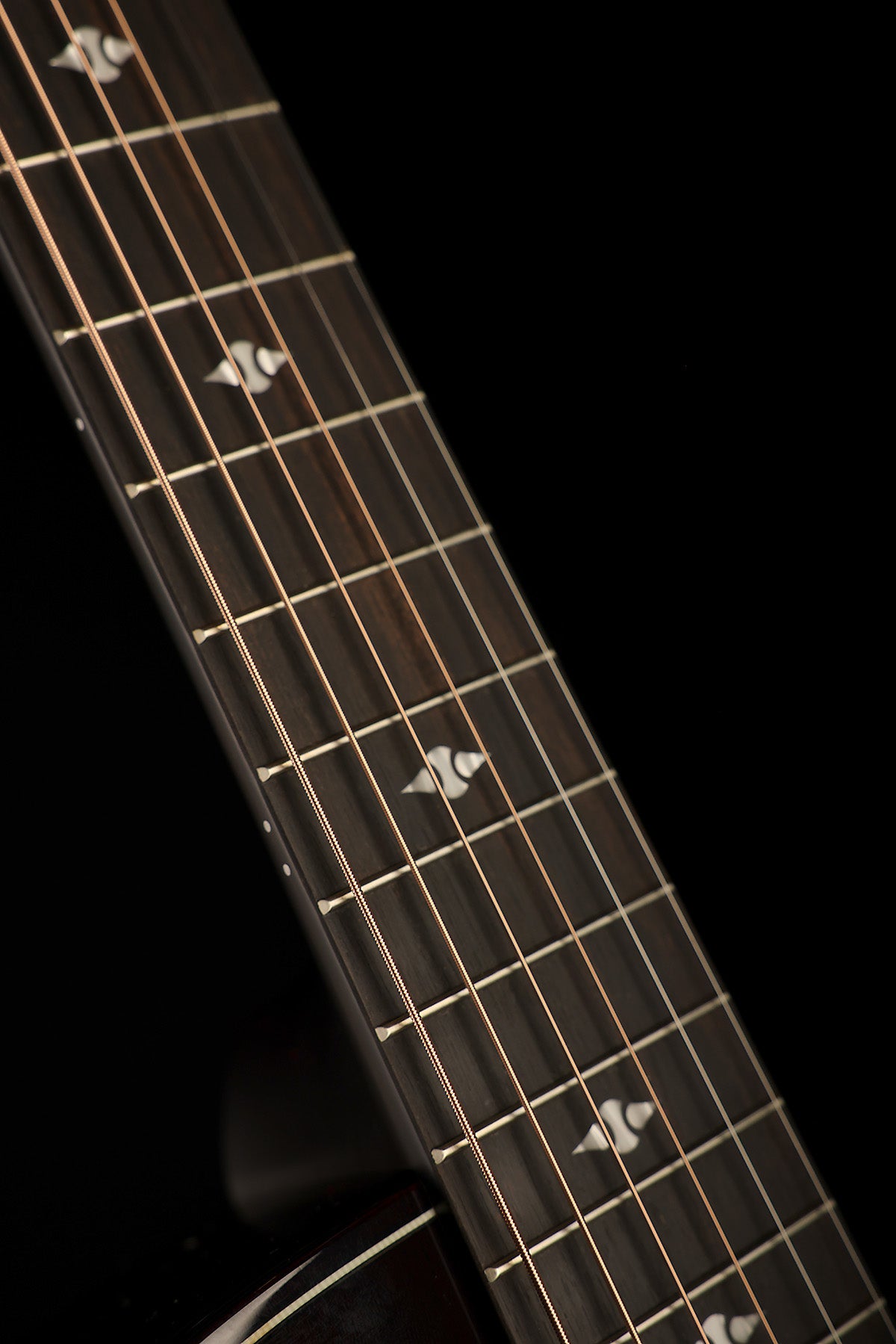 Taylor Next Generation Builder's Edition 524ce 'Kona Burst' Acoustic Electric Guitar