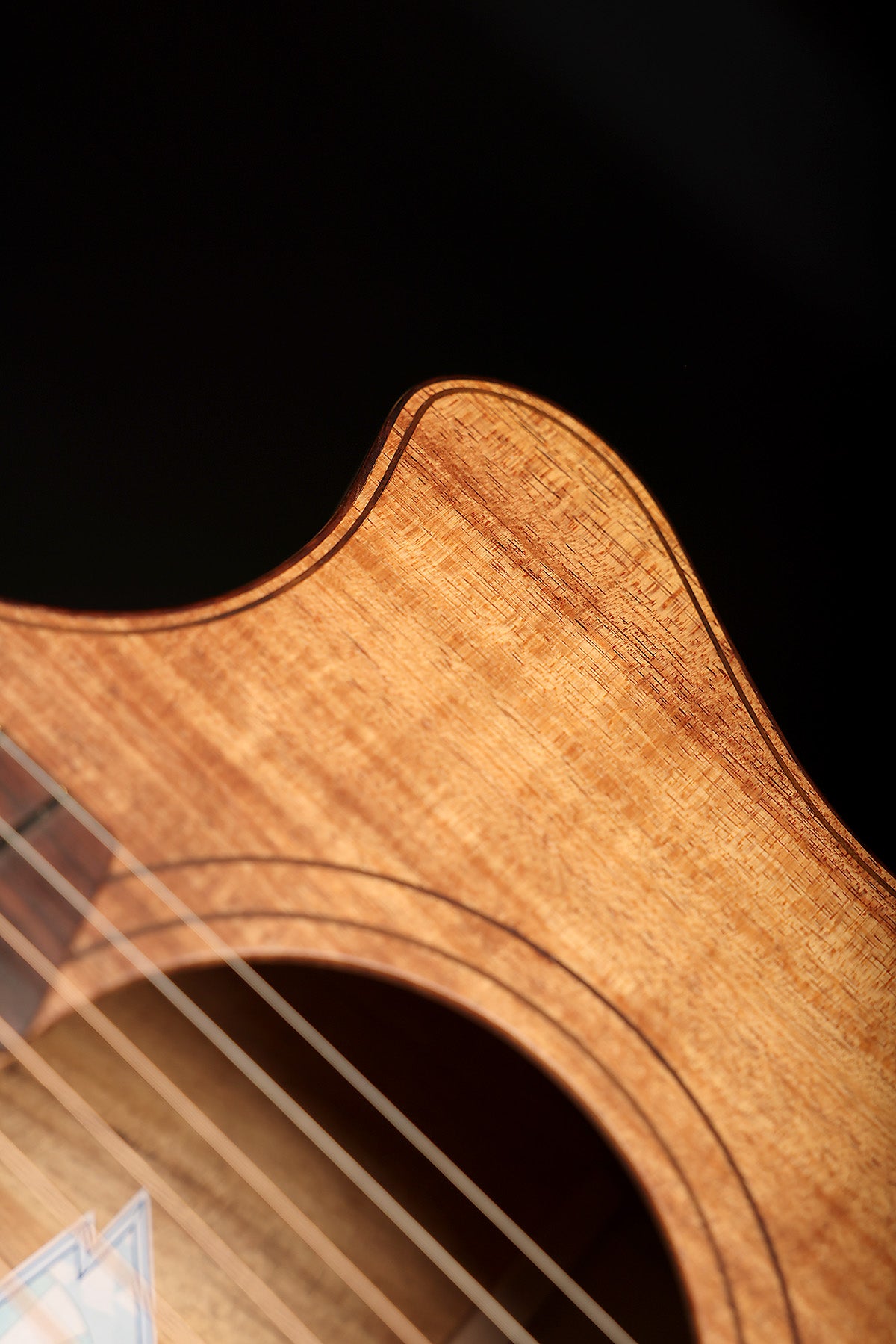 Cole Clark AN2EC Angel 'Blackwood / Blackwood' Acoustic Electric Guitar