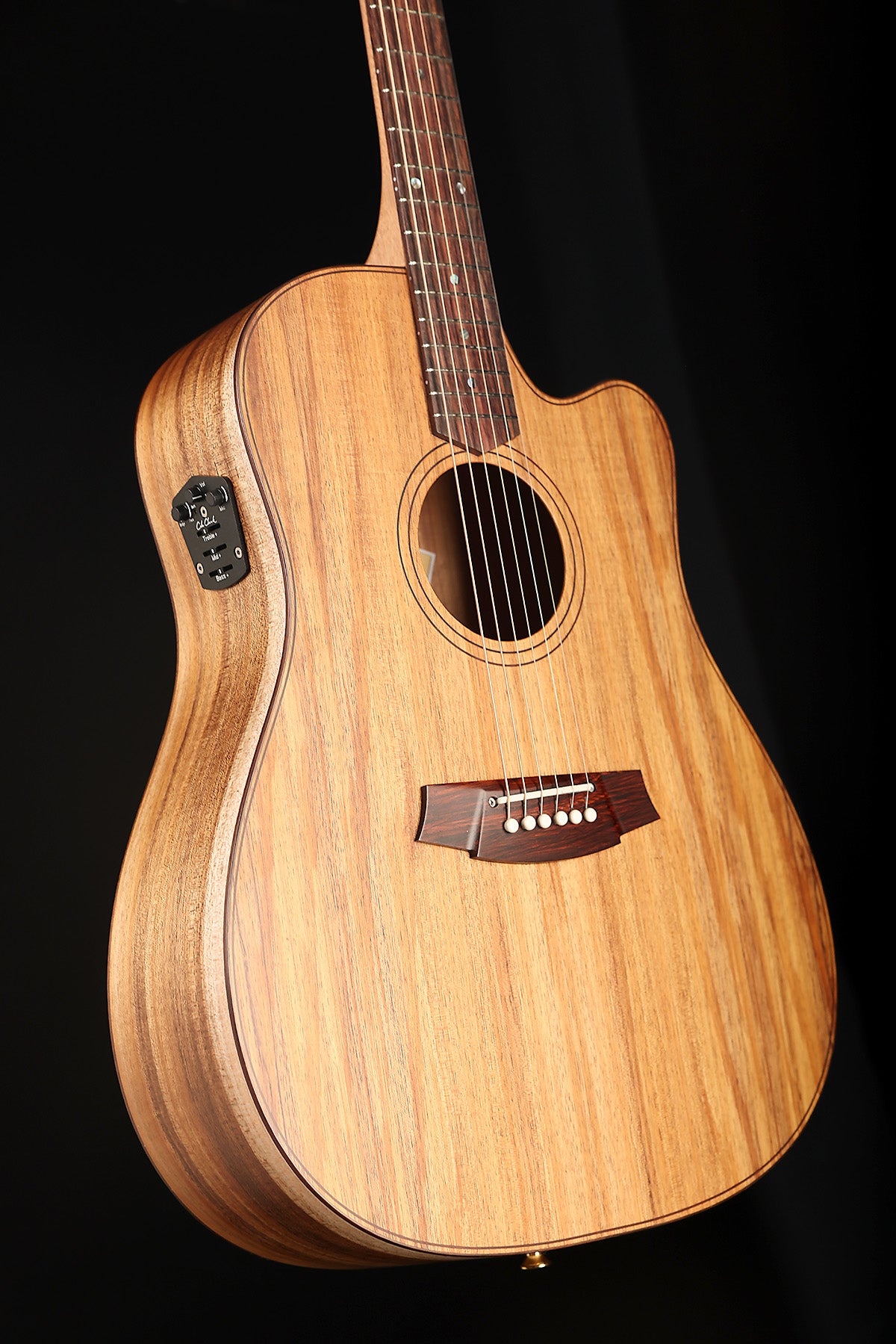 Cole Clark FL2EC Fat Lady Dreadnought Cutaway 'Blackwood / Blackwood' Acoustic Electric Guitar