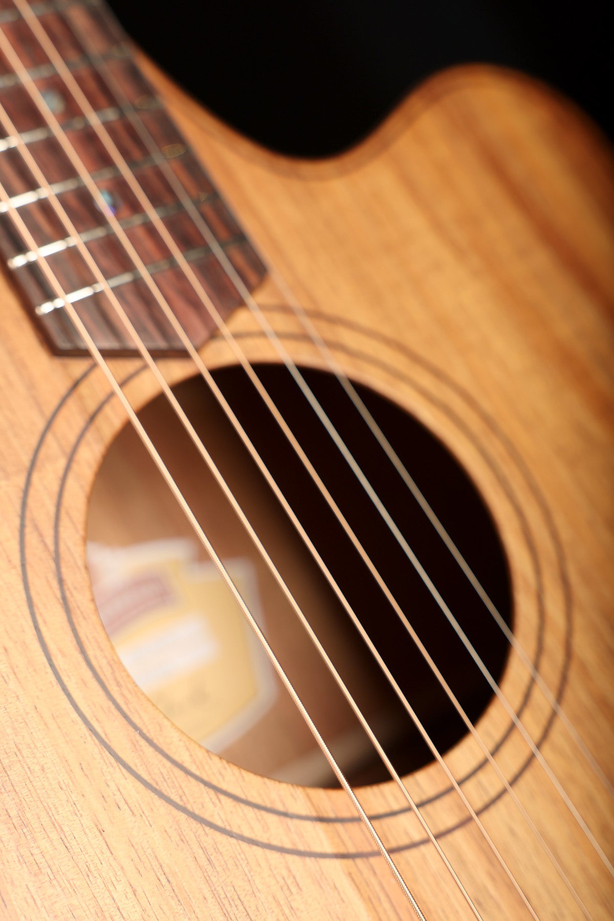 Cole Clark FL2EC Fat Lady Dreadnought Cutaway 'Blackwood / Blackwood' Acoustic Electric Guitar