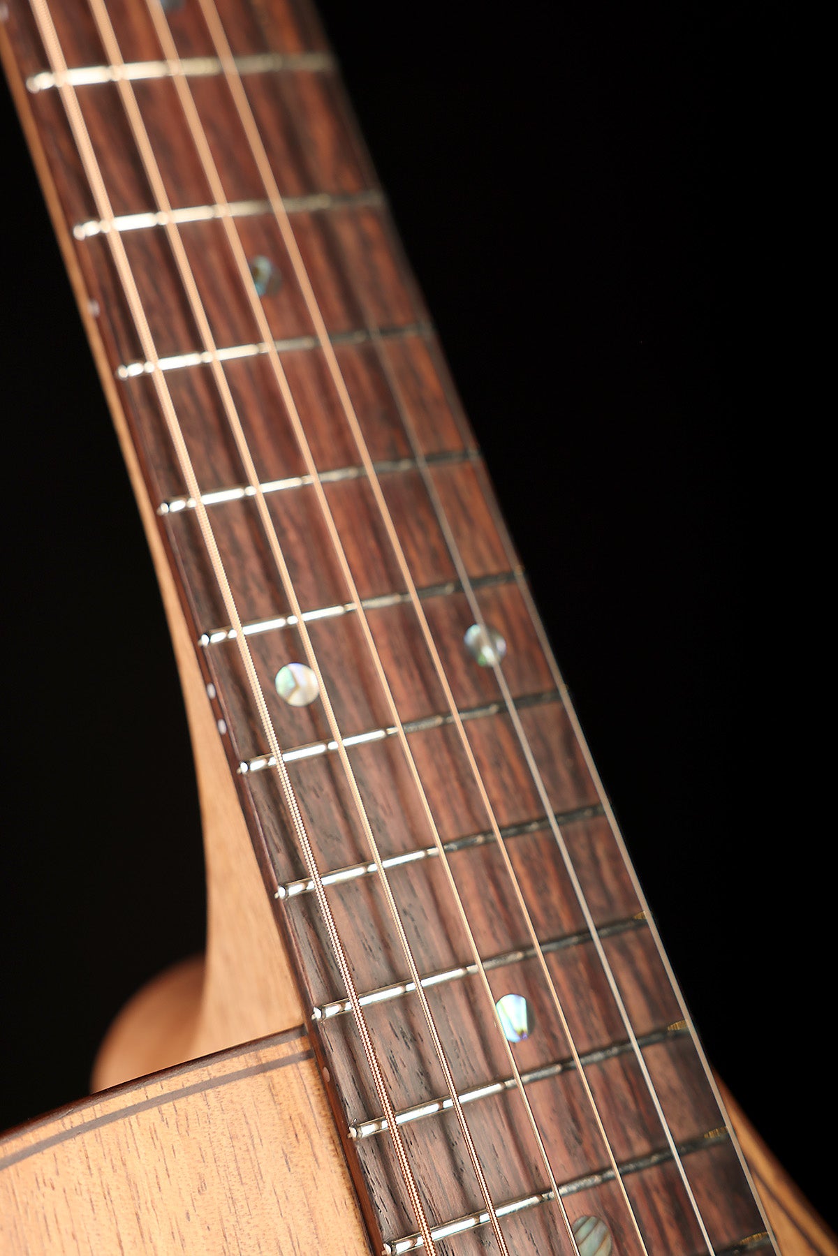 Cole Clark FL2EC Fat Lady Dreadnought Cutaway 'Blackwood / Blackwood' Acoustic Electric Guitar