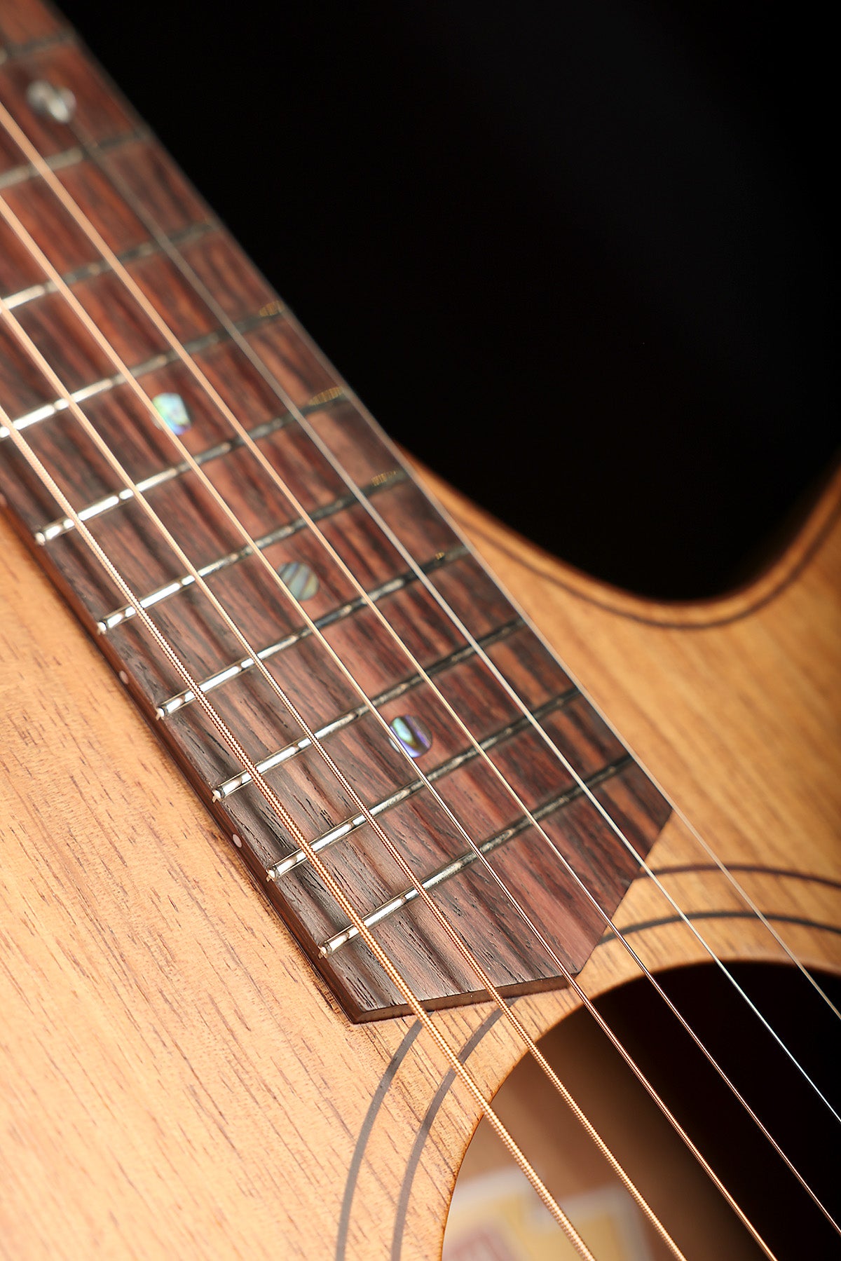 Cole Clark FL2EC Fat Lady Dreadnought Cutaway 'Blackwood / Blackwood' Acoustic Electric Guitar