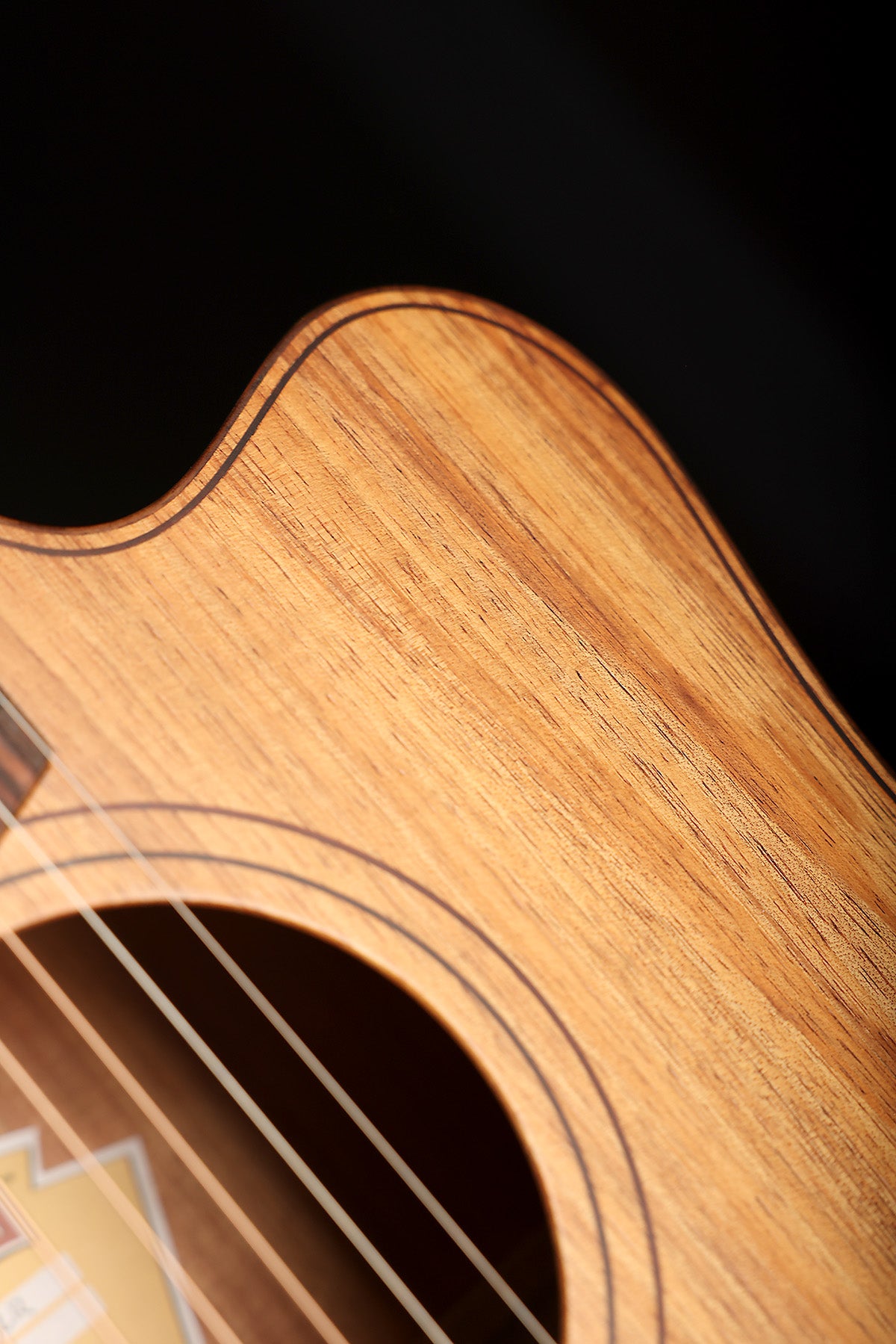 Cole Clark FL2EC Fat Lady Dreadnought Cutaway 'Blackwood / Blackwood' Acoustic Electric Guitar