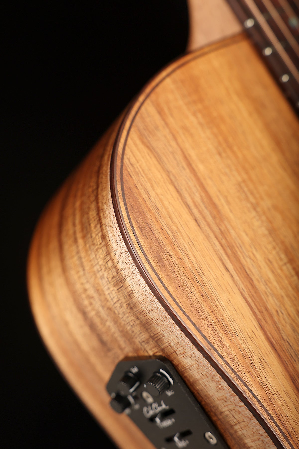 Cole Clark FL2EC Fat Lady Dreadnought Cutaway 'Blackwood / Blackwood' Acoustic Electric Guitar