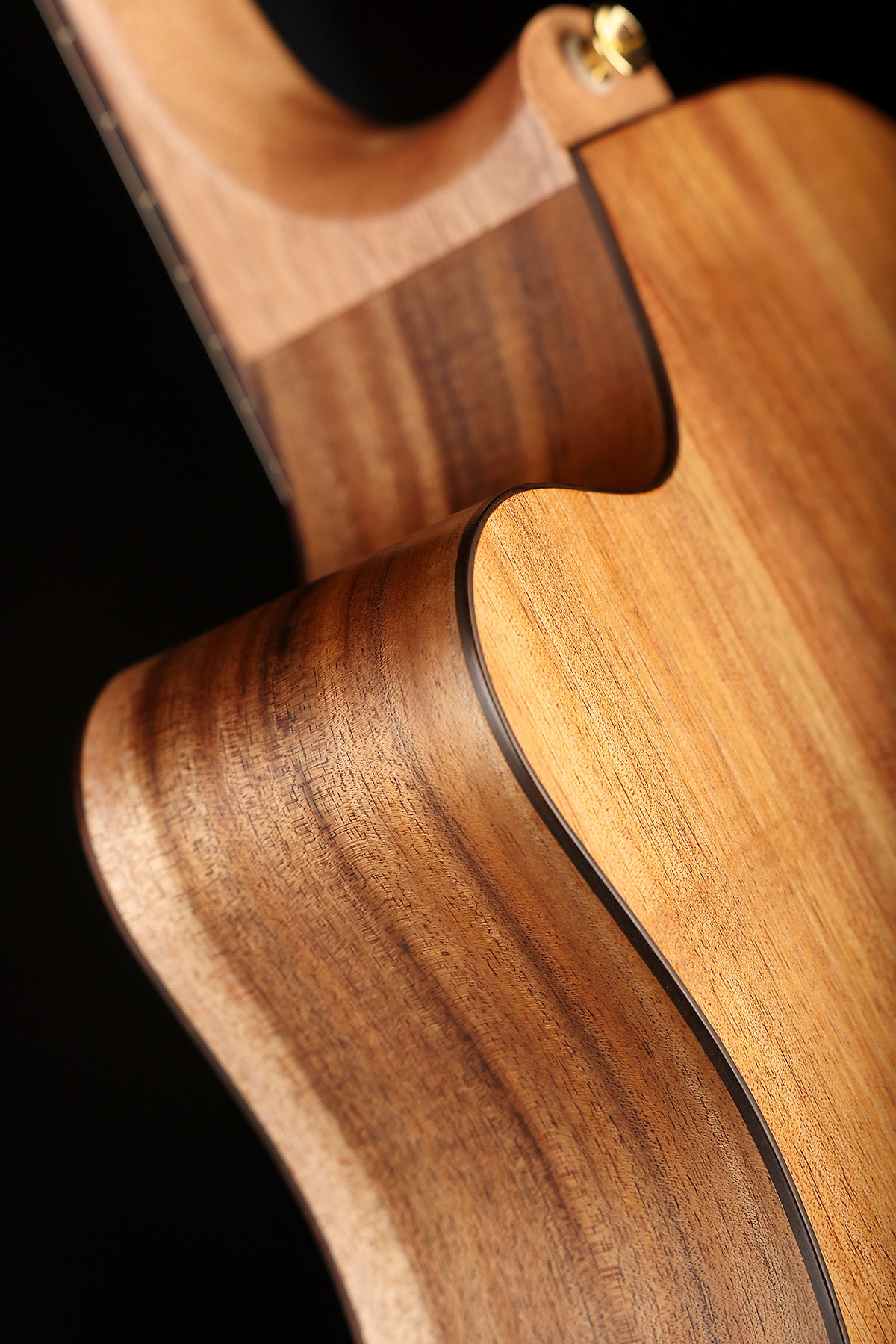Cole Clark FL2EC Fat Lady Dreadnought Cutaway 'Blackwood / Blackwood' Acoustic Electric Guitar