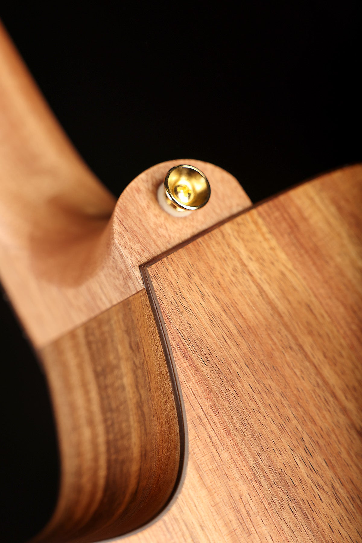 Cole Clark FL2EC Fat Lady Dreadnought Cutaway 'Blackwood / Blackwood' Acoustic Electric Guitar