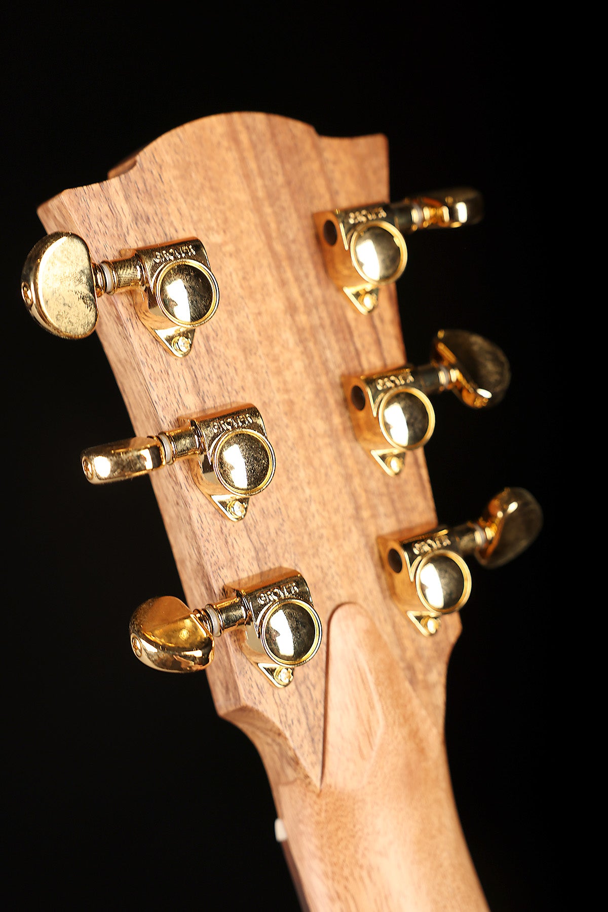 Cole Clark FL2EC Fat Lady Dreadnought Cutaway 'Blackwood / Blackwood' Acoustic Electric Guitar