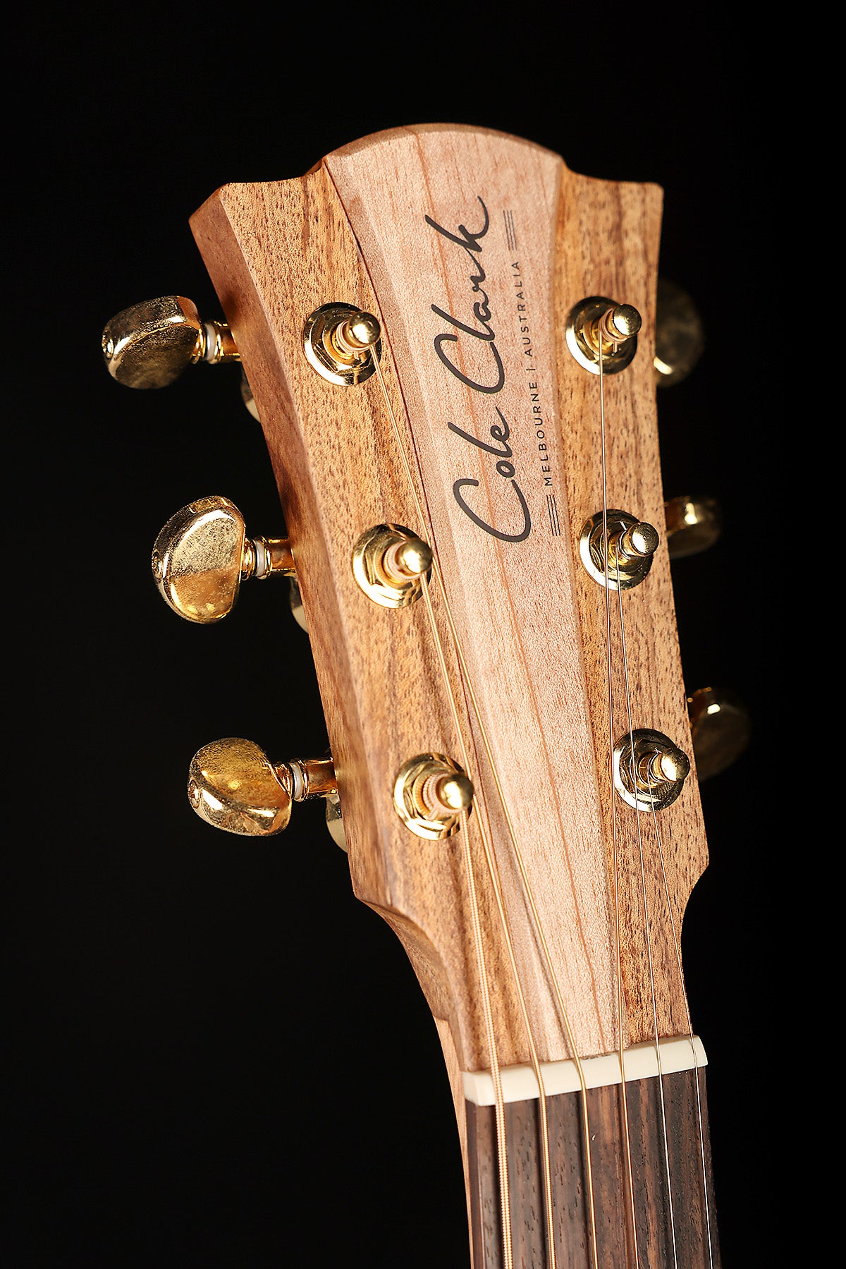 Cole Clark FL2EC Fat Lady Dreadnought Cutaway 'Blackwood / Blackwood' Acoustic Electric Guitar