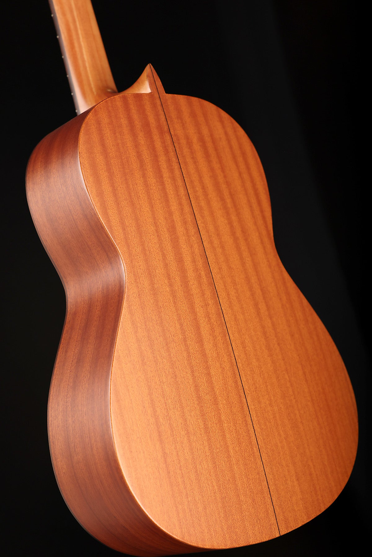 Esteve 4ST Cedar Top Classical Guitar