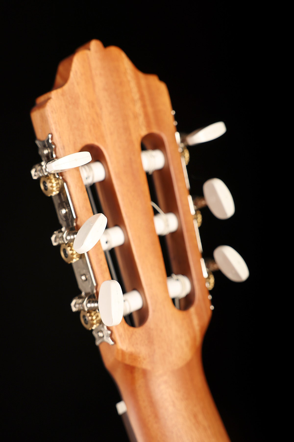 Esteve 4ST Cedar Top Classical Guitar