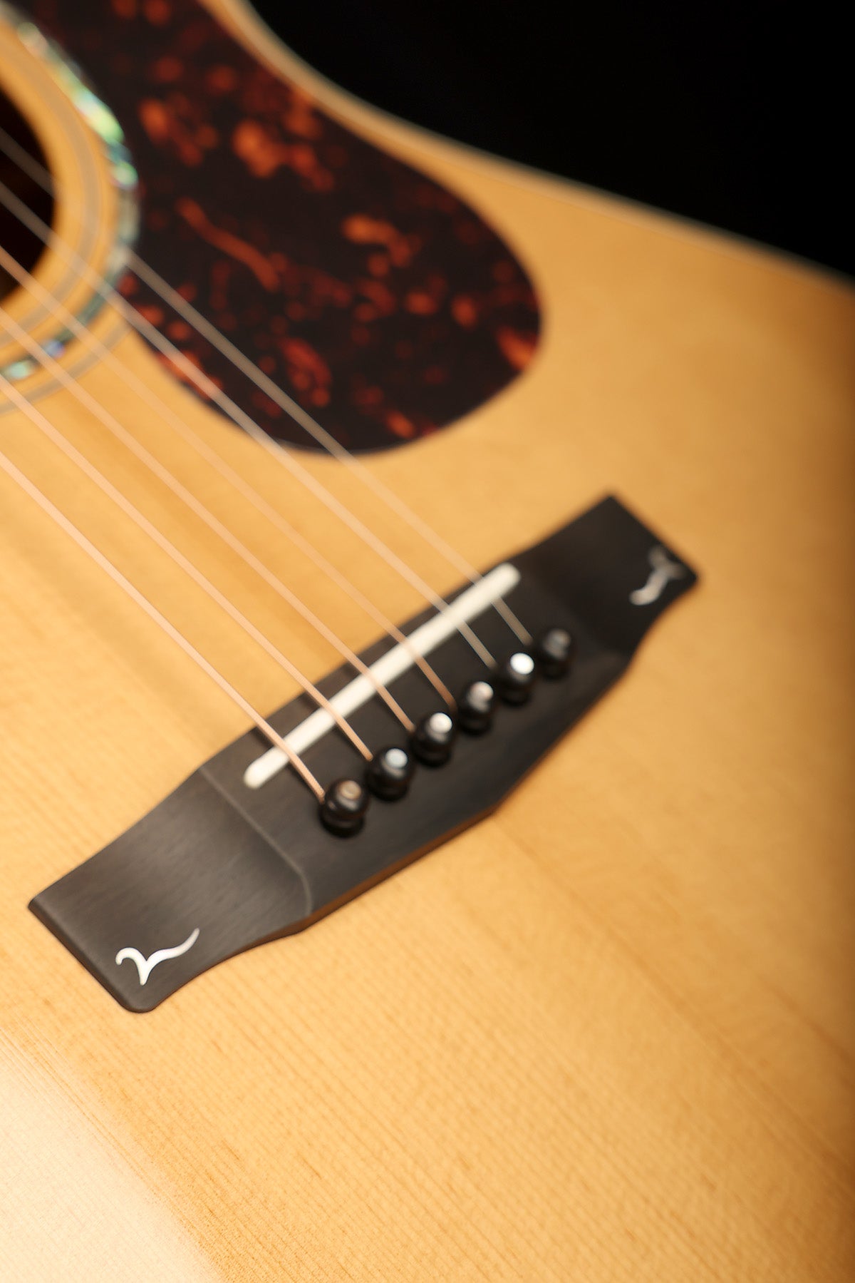 Cort Gold-MC6 Ovangkol Acoustic Electric Guitar