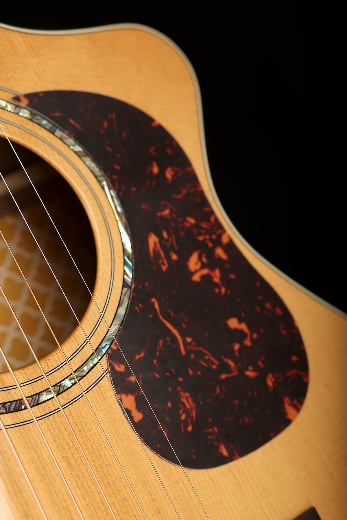 Cort Gold-MC6 Ovangkol Acoustic Electric Guitar