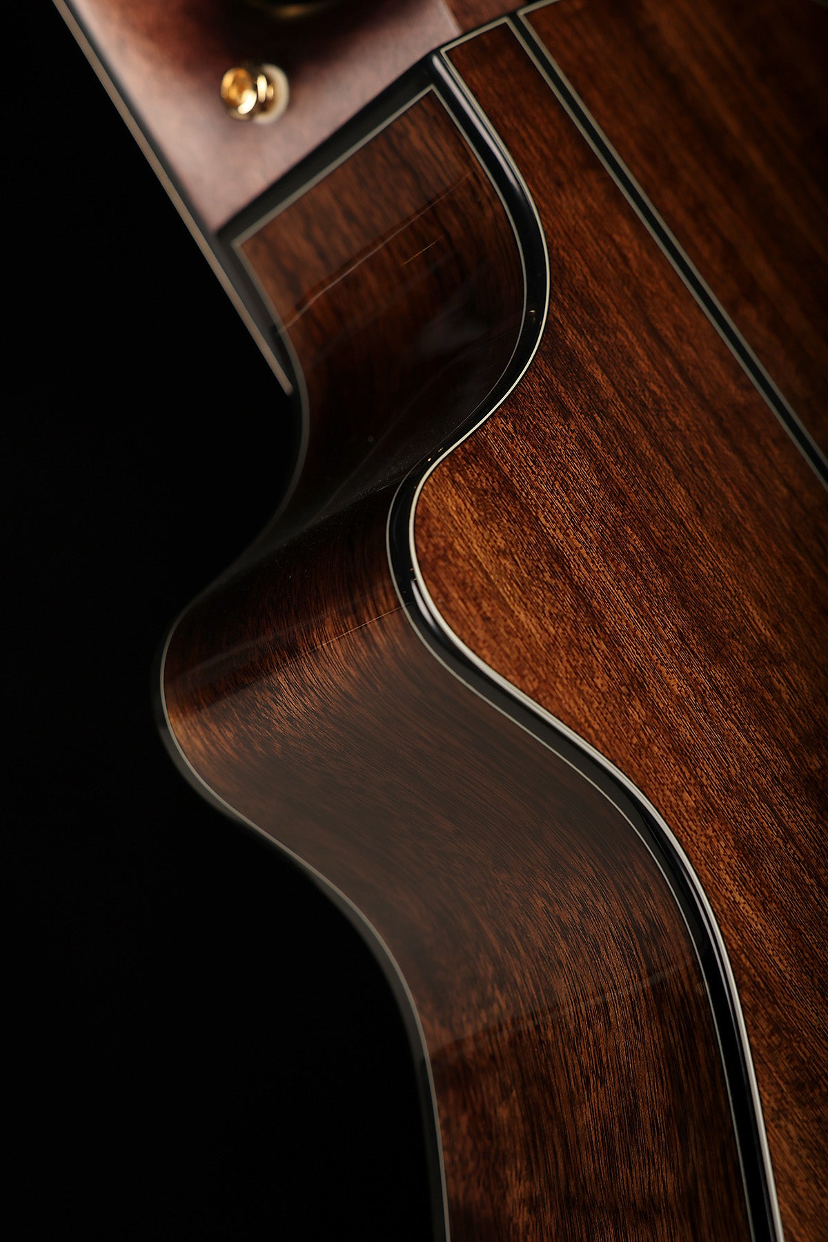 Cort Gold-MC6 Ovangkol Acoustic Electric Guitar