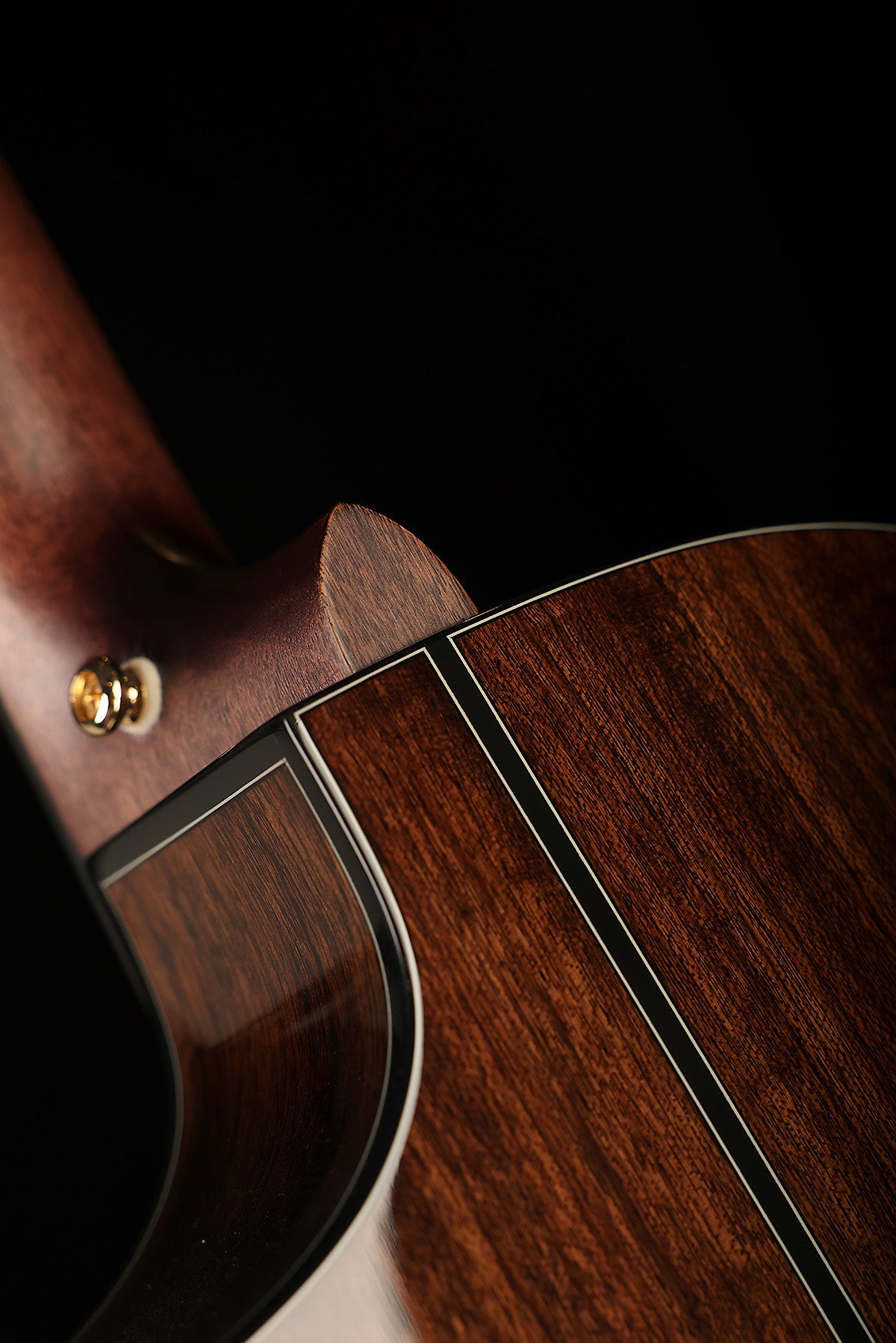 Cort Gold-MC6 Ovangkol Acoustic Electric Guitar