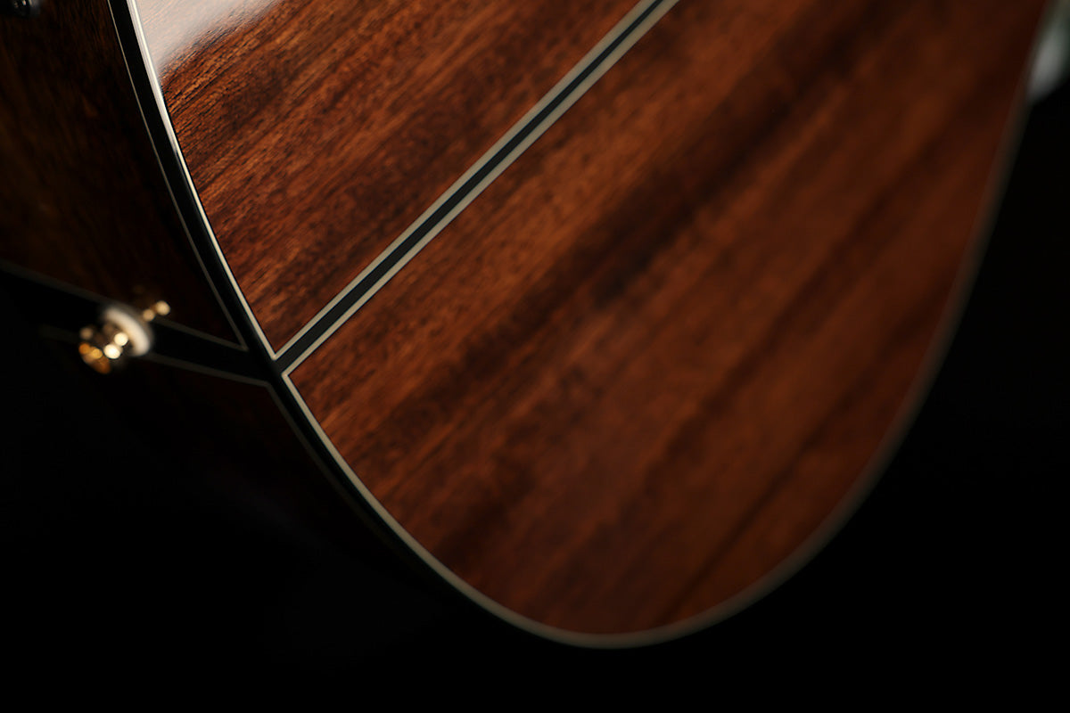 Cort Gold-MC6 Ovangkol Acoustic Electric Guitar
