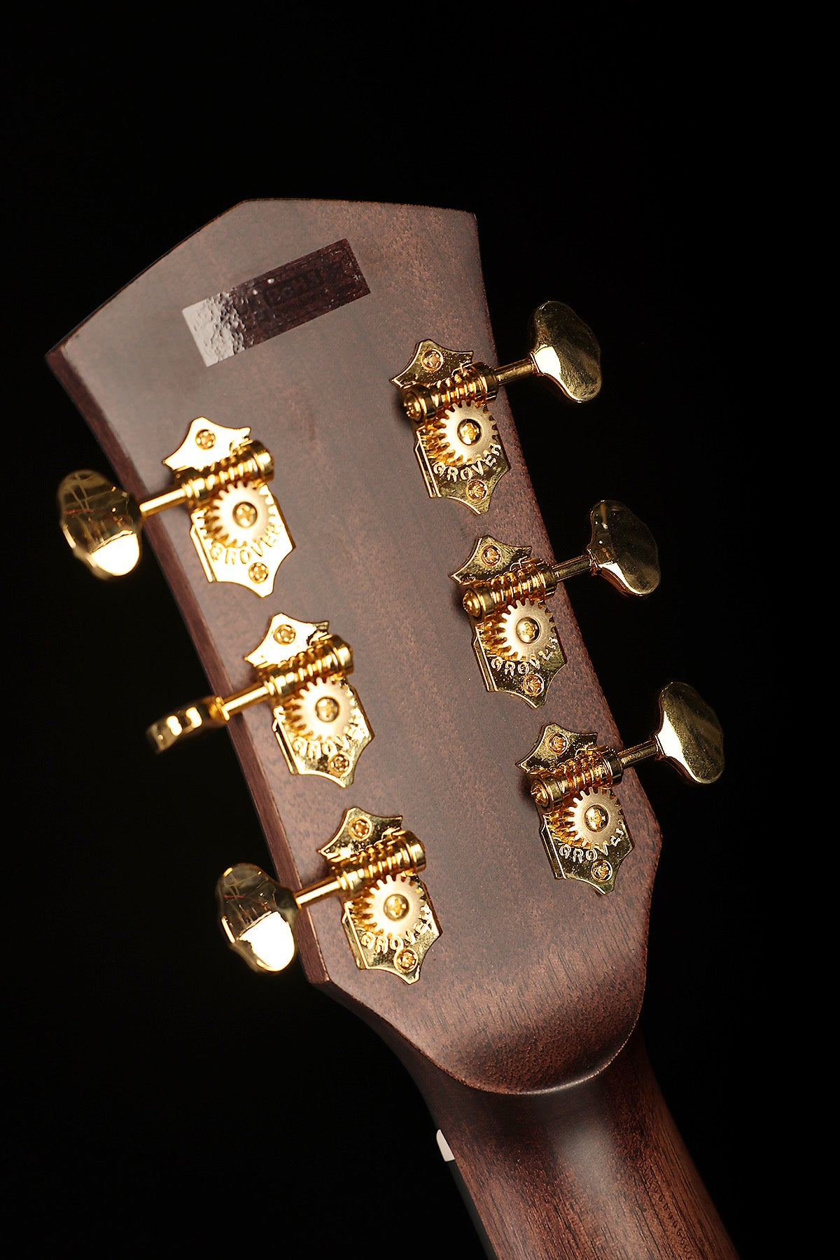 Cort Gold-MC6 Ovangkol Acoustic Electric Guitar