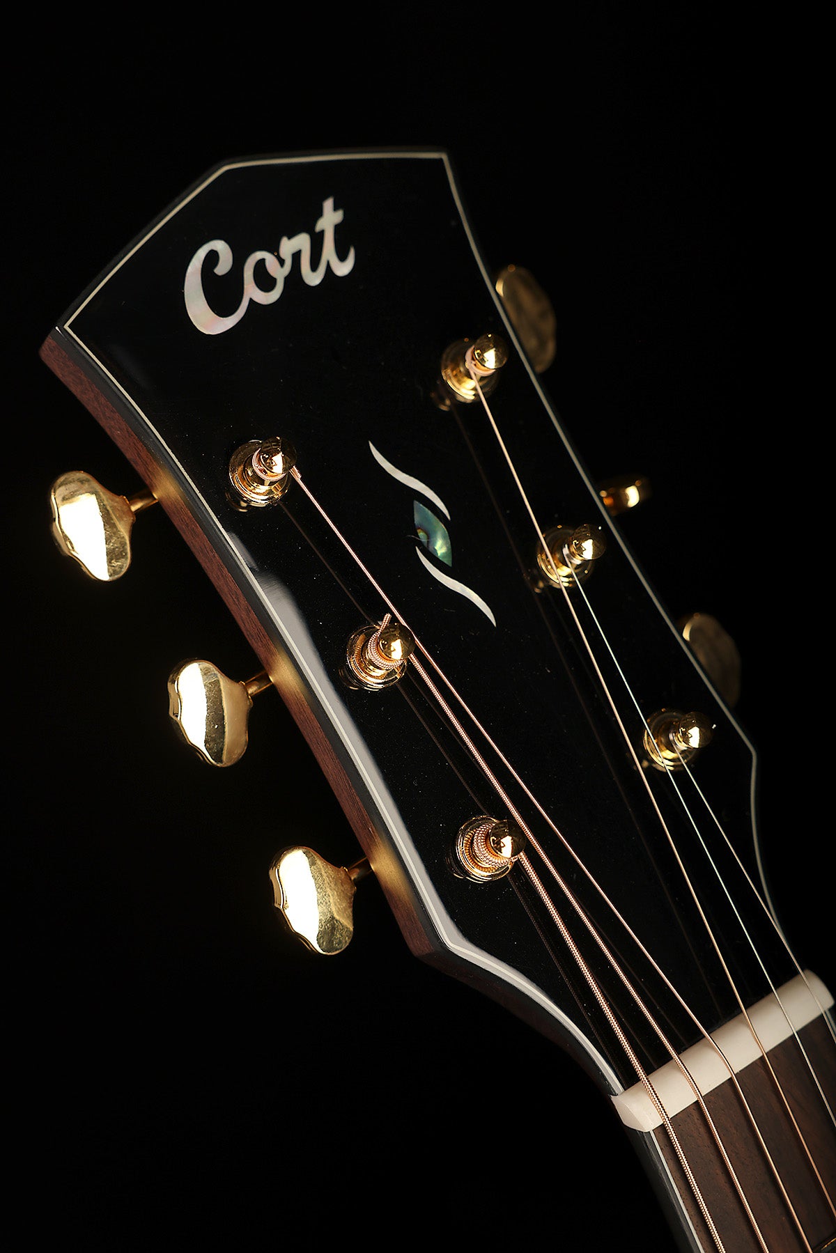 Cort Gold-MC6 Ovangkol Acoustic Electric Guitar