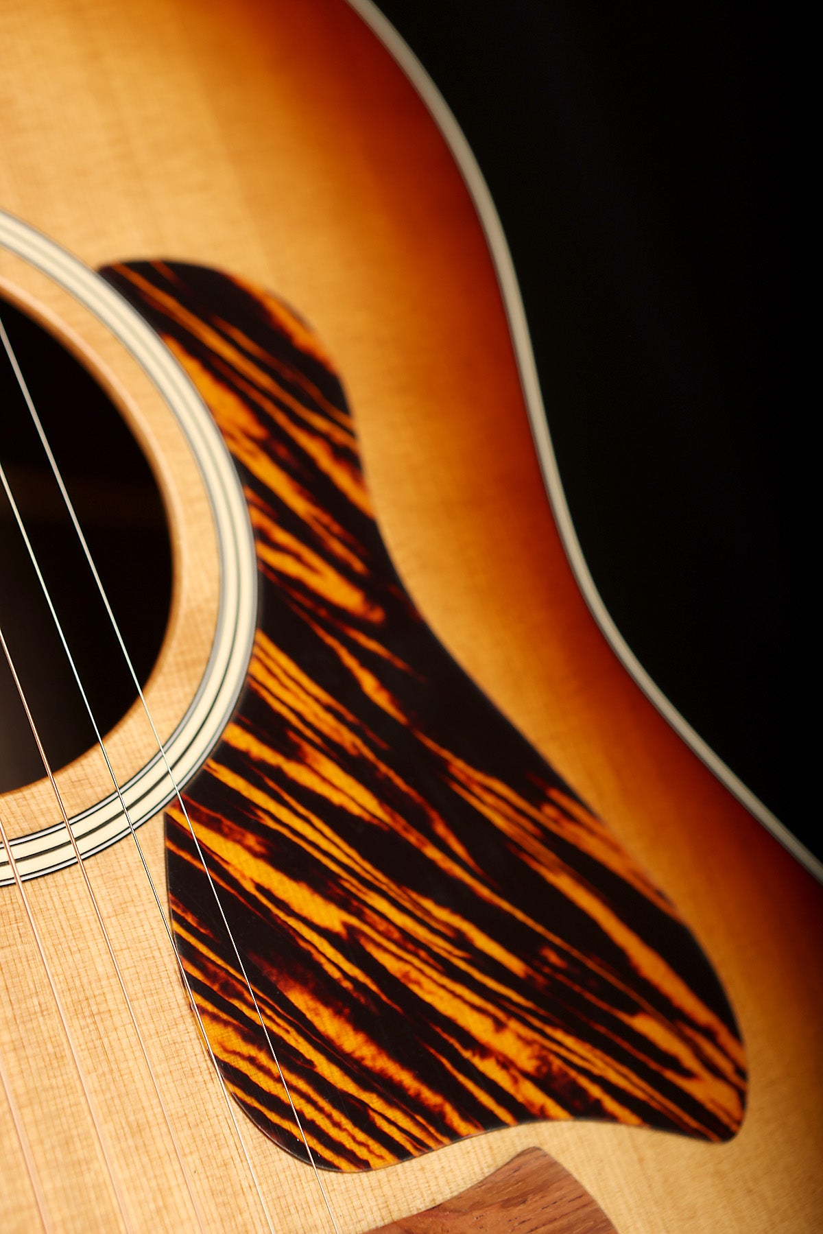 Taylor 717e Gold Label Grand Pacific &#39;Sunburst&#39; Acoustic Electric Guitar - Acoustic Centre Music Store, Melbourne Australia