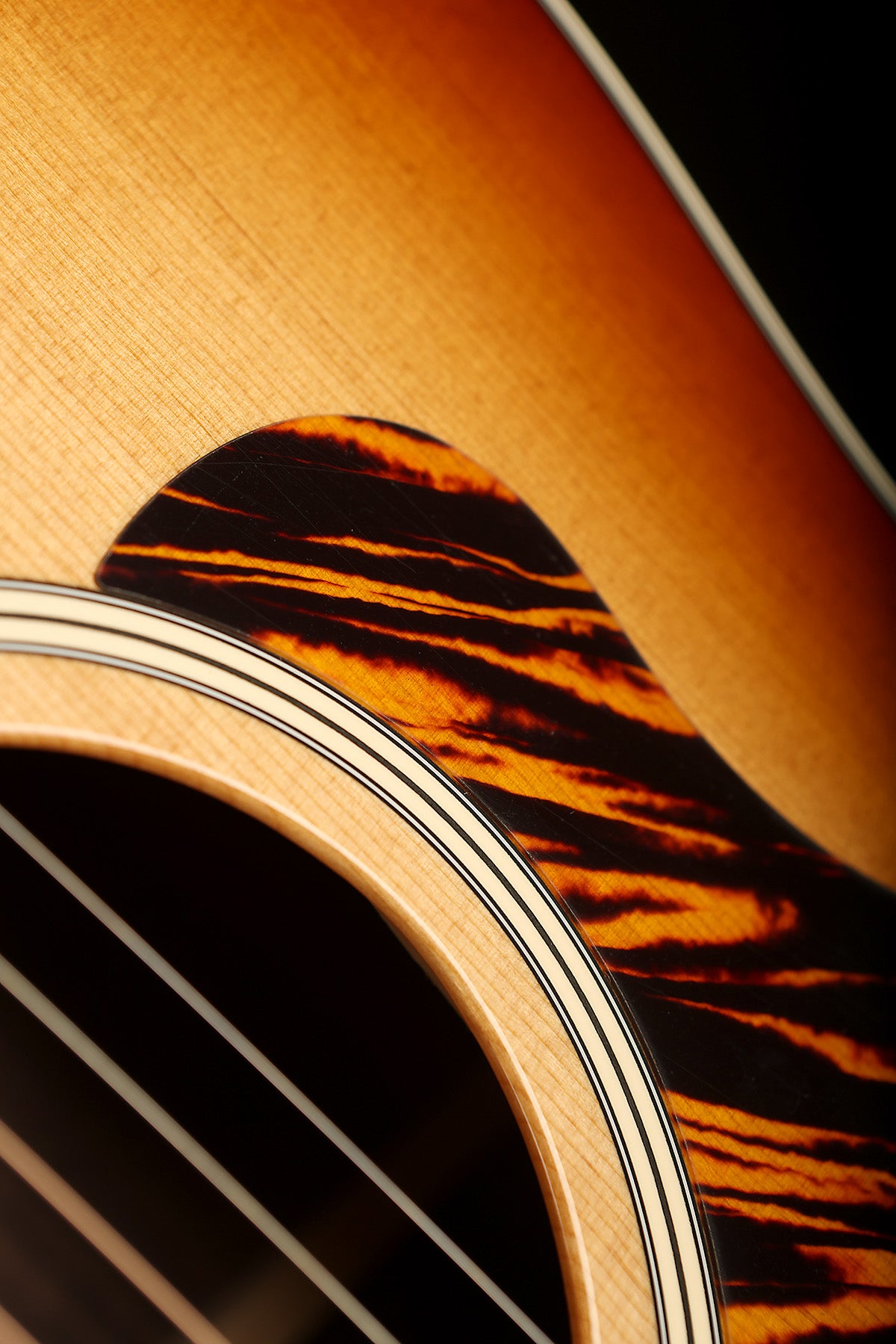 Taylor 717e Gold Label Grand Pacific &#39;Sunburst&#39; Acoustic Electric Guitar - Acoustic Centre Music Store, Melbourne Australia