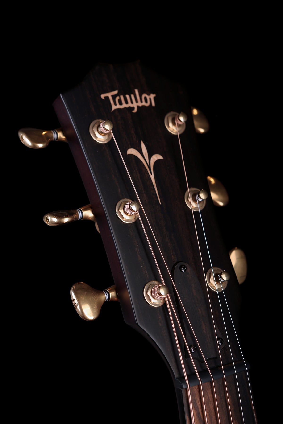 Taylor NAMM Custom C12ce 12-Fret Grand Concert ‘Western Red Cedar / Honduran Rosewood’ Acoustic Electric Guitar - Acoustic Centre Music Store, Melbourne Australia