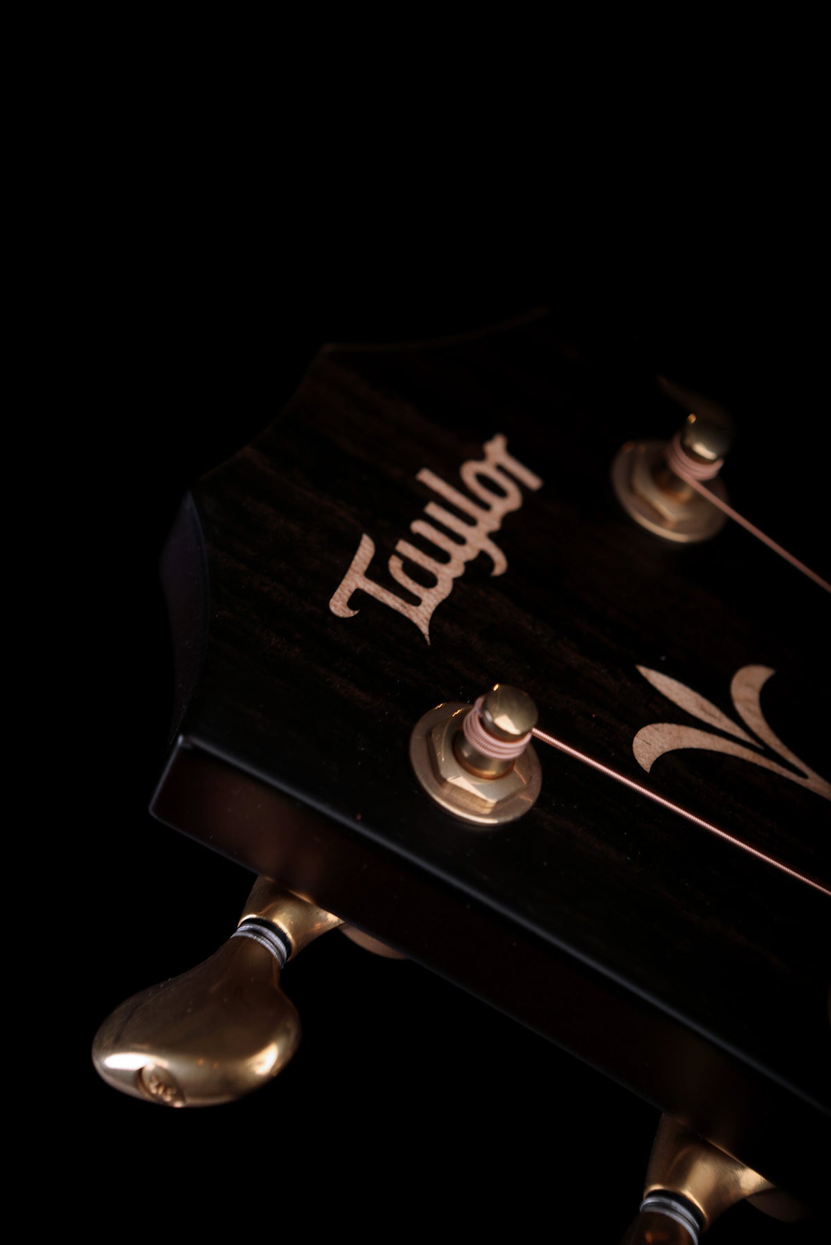 Taylor NAMM Custom C12ce 12-Fret Grand Concert ‘Western Red Cedar / Honduran Rosewood’ Acoustic Electric Guitar - Acoustic Centre Music Store, Melbourne Australia
