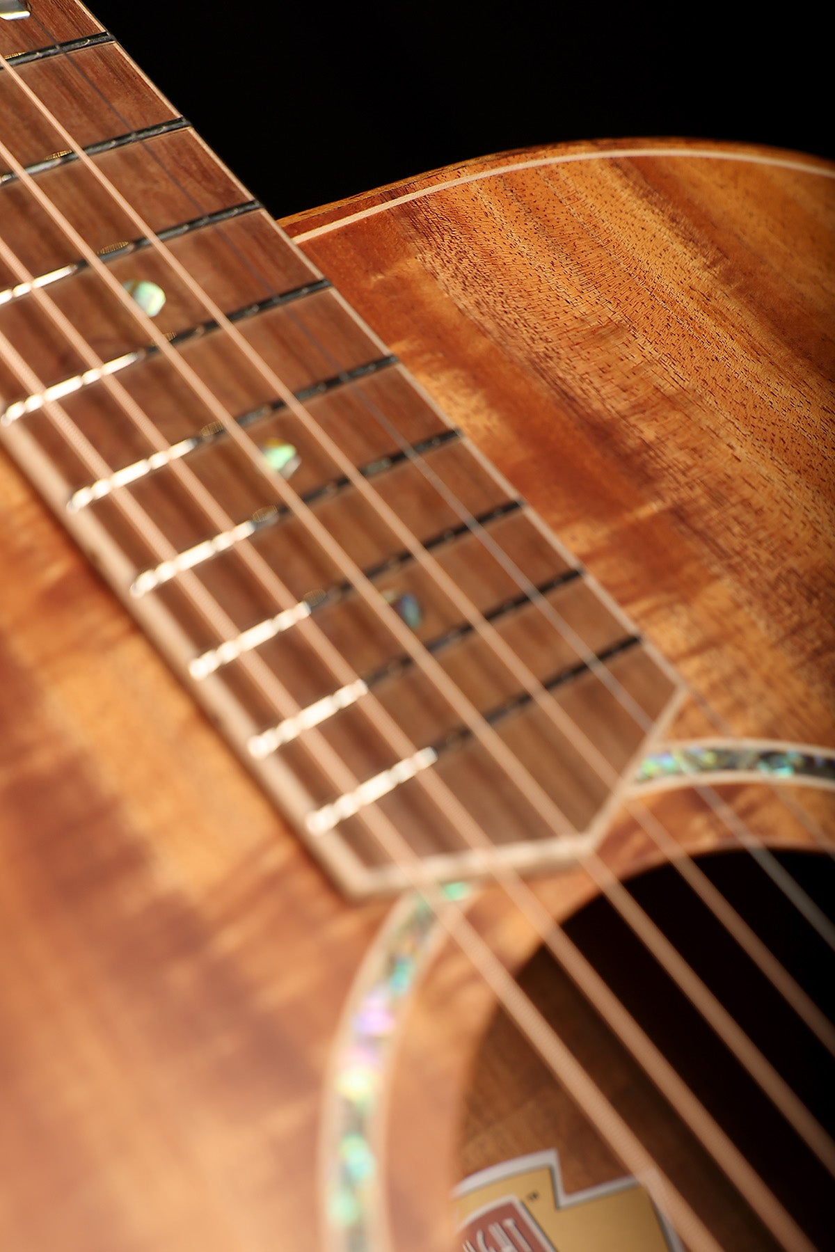 Cole Clark FL Master Grade 'Natural' Fat Lady Dreadnought All Australian Blackwood Acoustic Electric Guitar