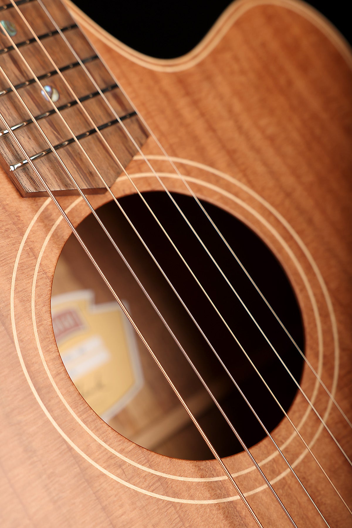 Cole Clark FL2EC Fat Lady  'Redwood / Australian Blackwood' Dreadnought Cutaway Acoustic Electric Guitar