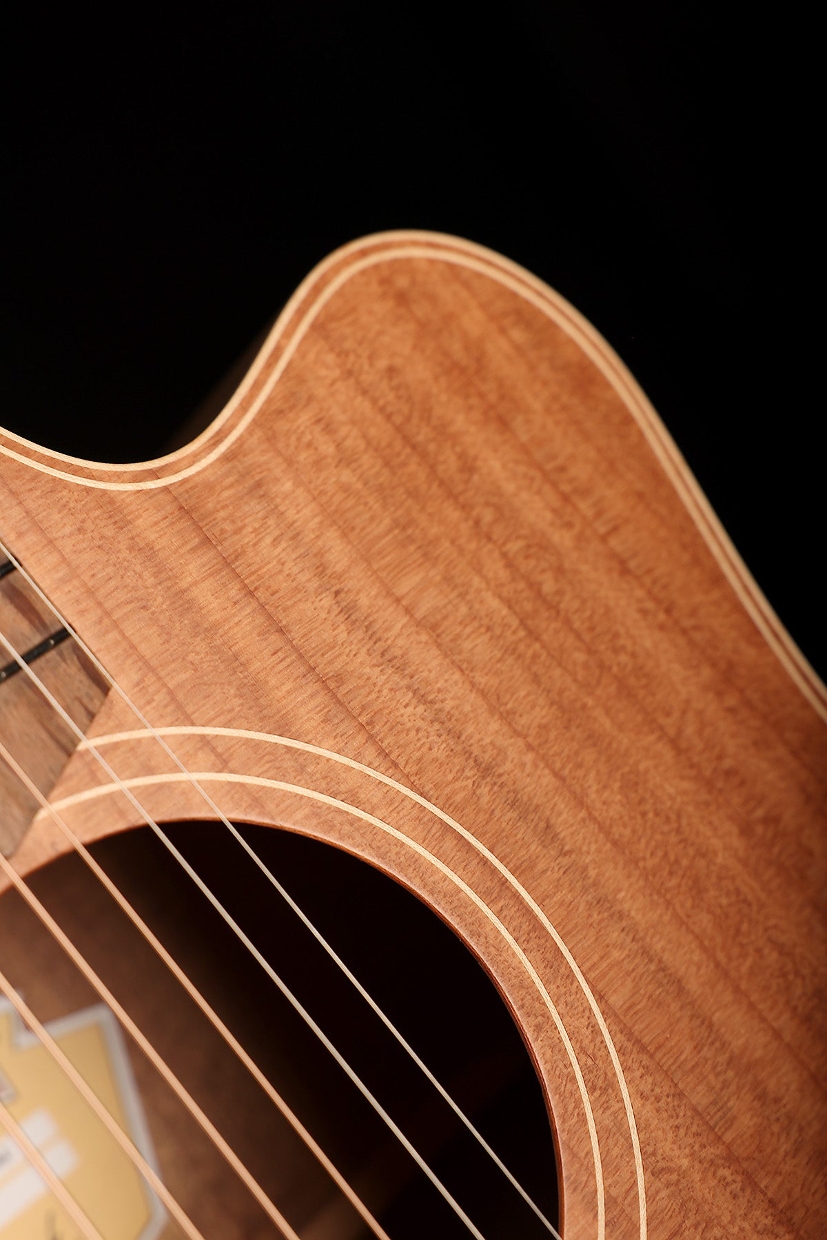Cole Clark FL2EC Fat Lady  'Redwood / Australian Blackwood' Dreadnought Cutaway Acoustic Electric Guitar