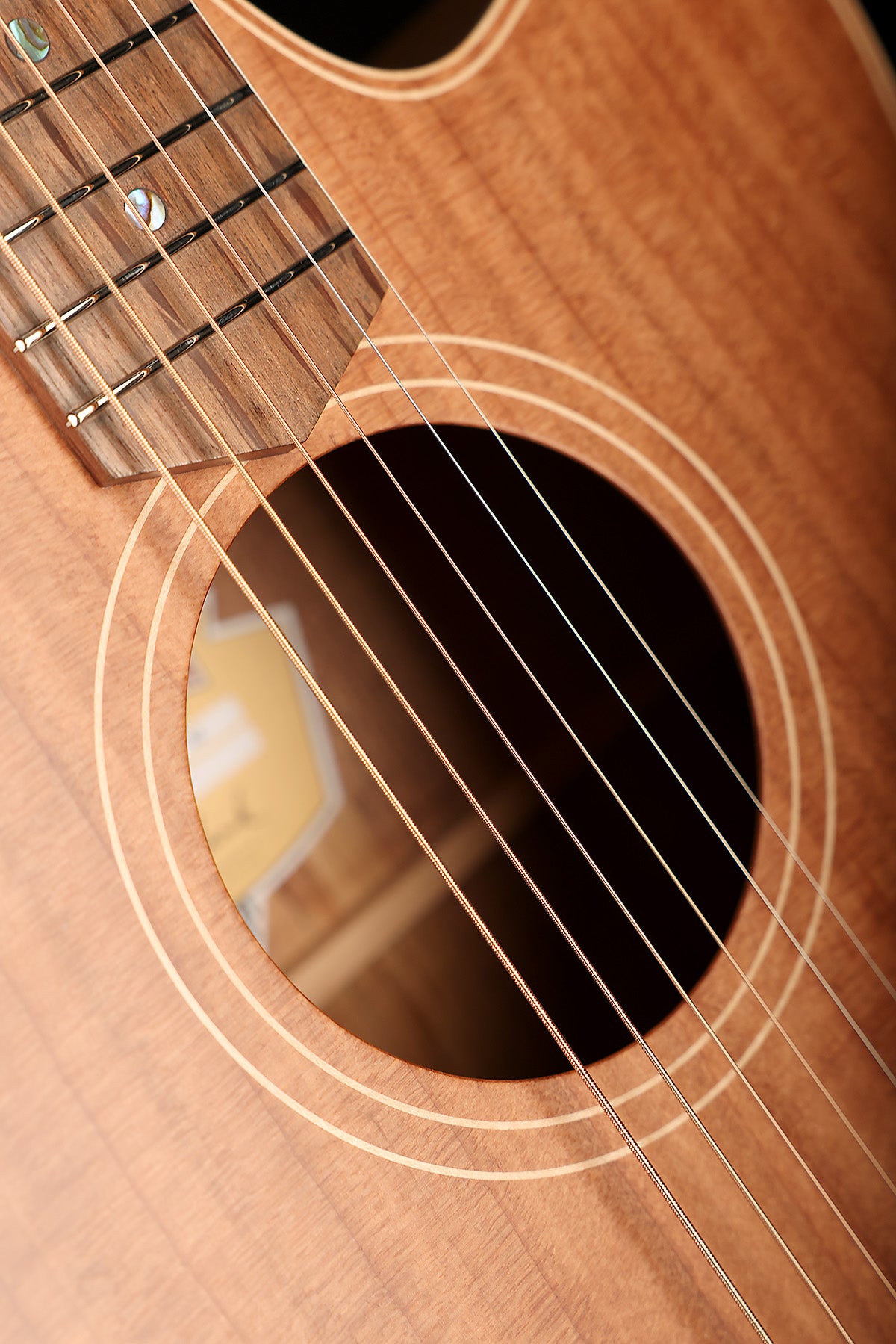 Cole Clark FL2EC Fat Lady  'Redwood / Australian Blackwood' Dreadnought Cutaway Acoustic Electric Guitar