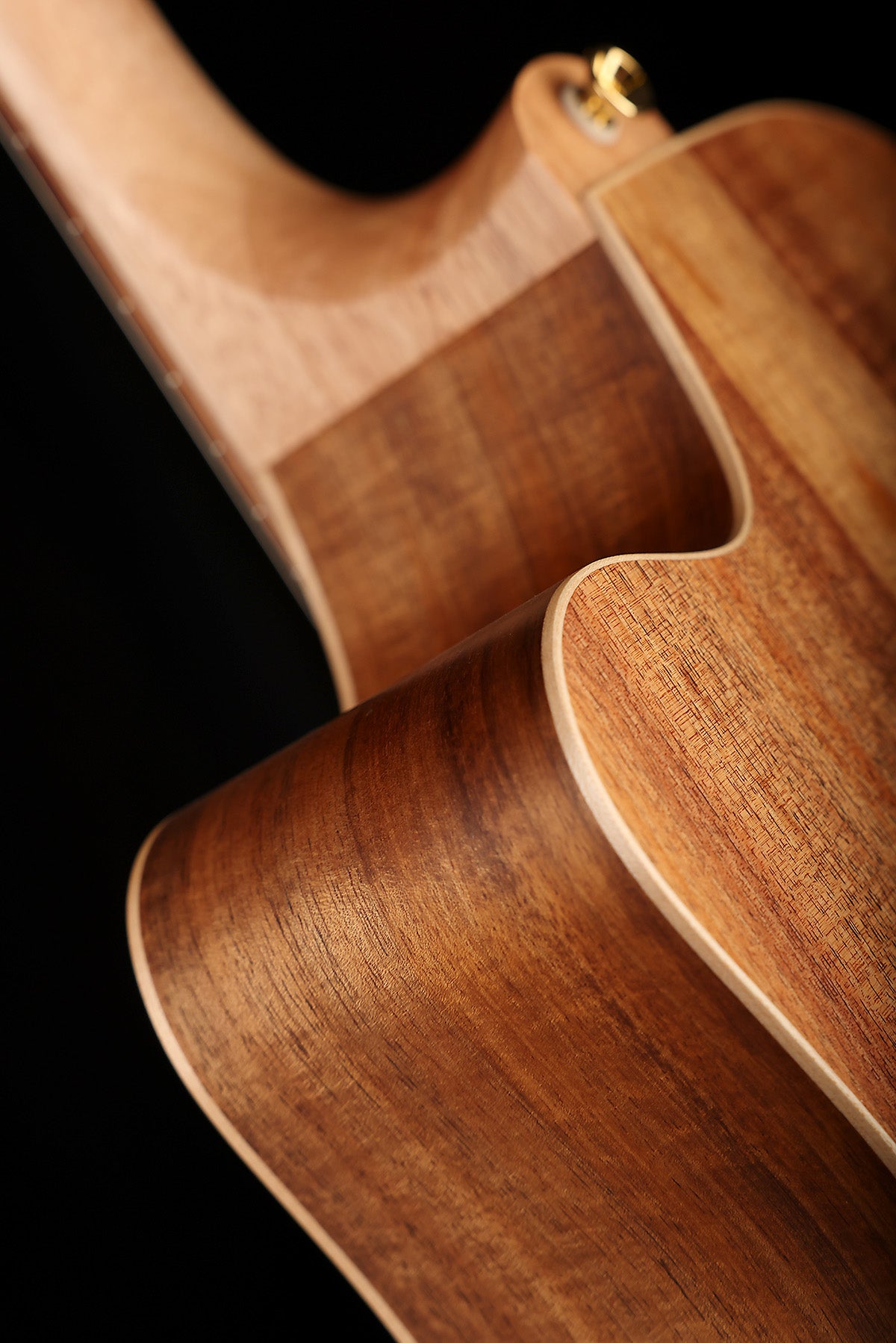 Cole Clark FL2EC Fat Lady  'Redwood / Australian Blackwood' Dreadnought Cutaway Acoustic Electric Guitar