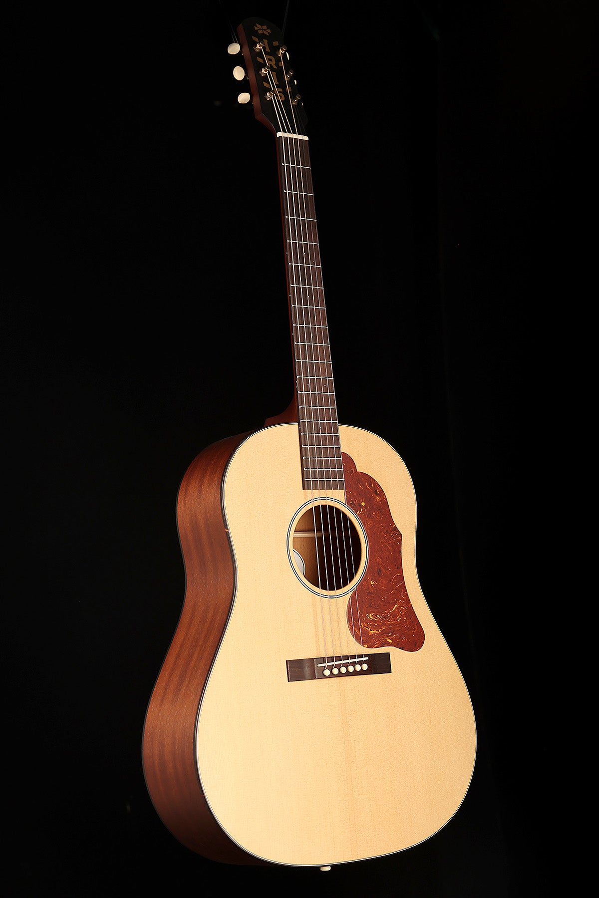 Iris DF 'Natural' Slope Shoulder Dreadnought Acoustic Guitar