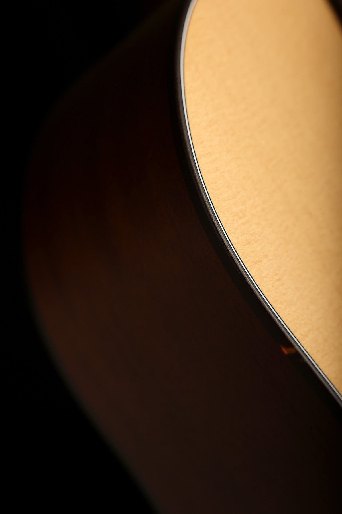 Iris DF 'Natural' Slope Shoulder Dreadnought Acoustic Guitar