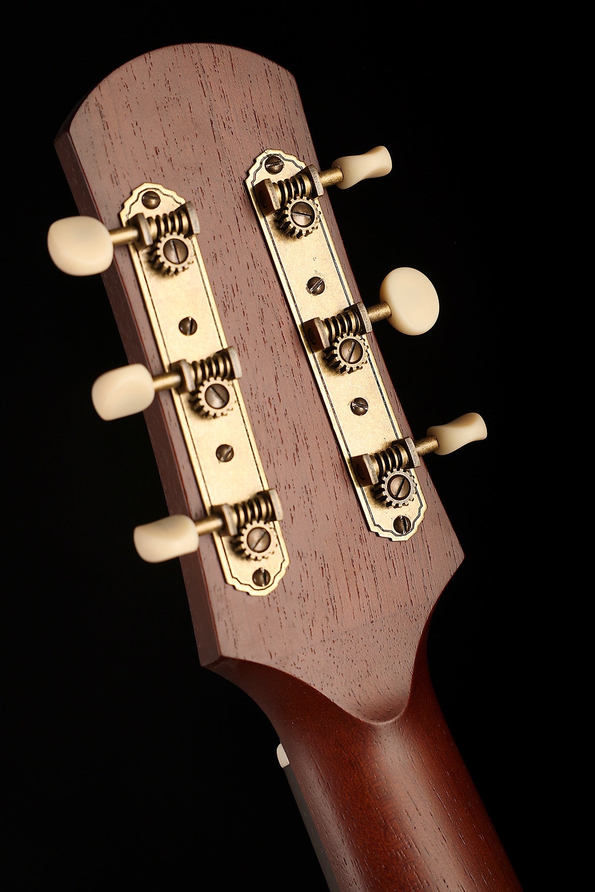 Iris DF 'Natural' Slope Shoulder Dreadnought Acoustic Guitar