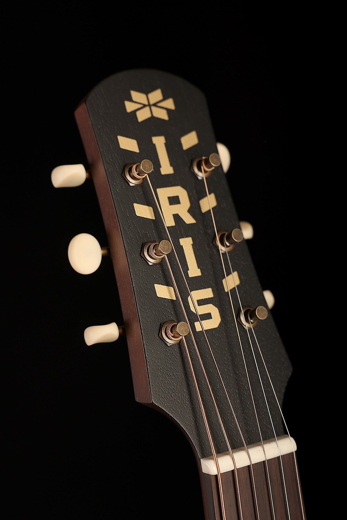 Iris DF 'Natural' Slope Shoulder Dreadnought Acoustic Guitar