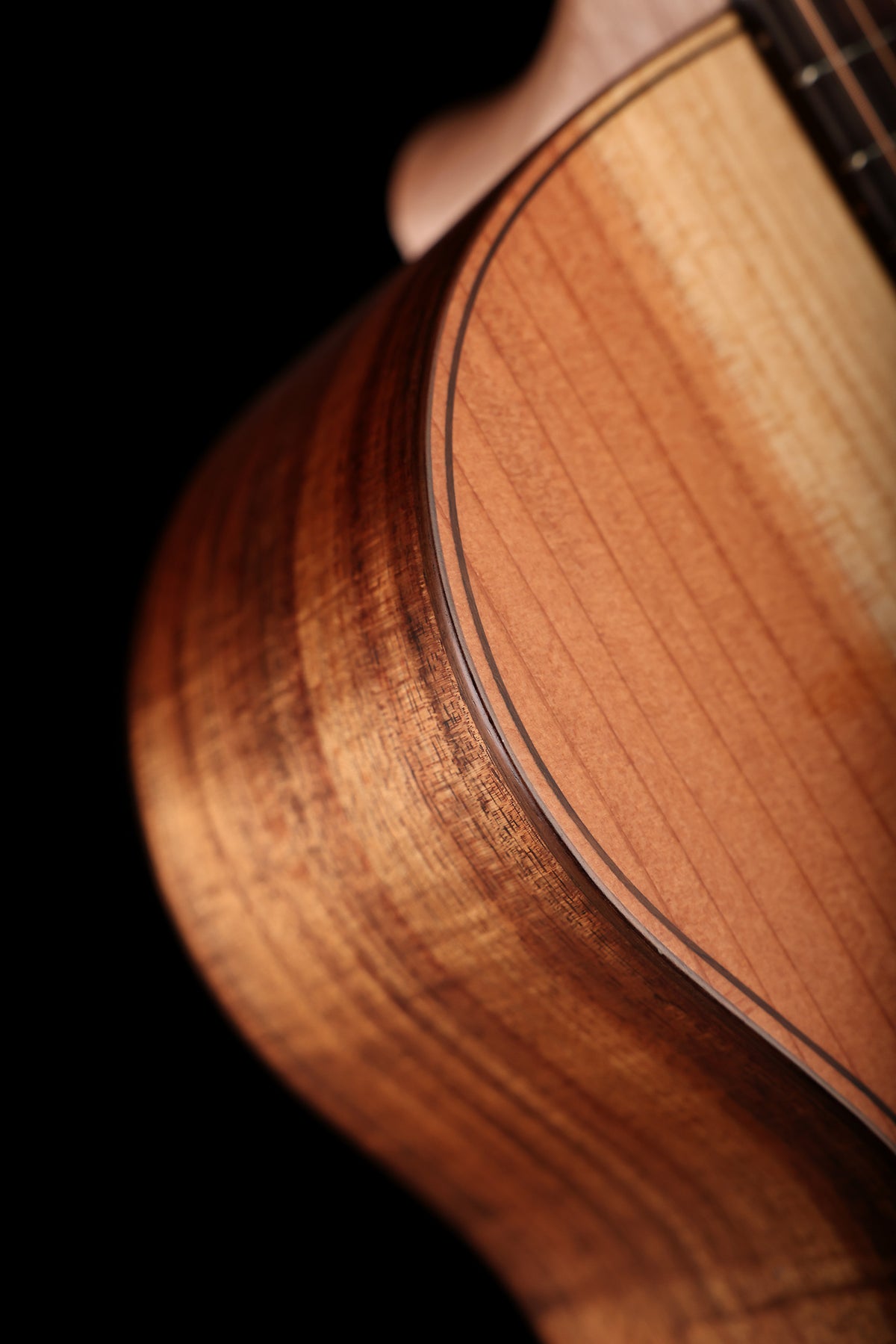 Cole Clark AN2EC ‘Natural’ Angel Grand Auditorium Cutaway 'Redwood / Australian Blackwood' Acoustic Electric Guitar
