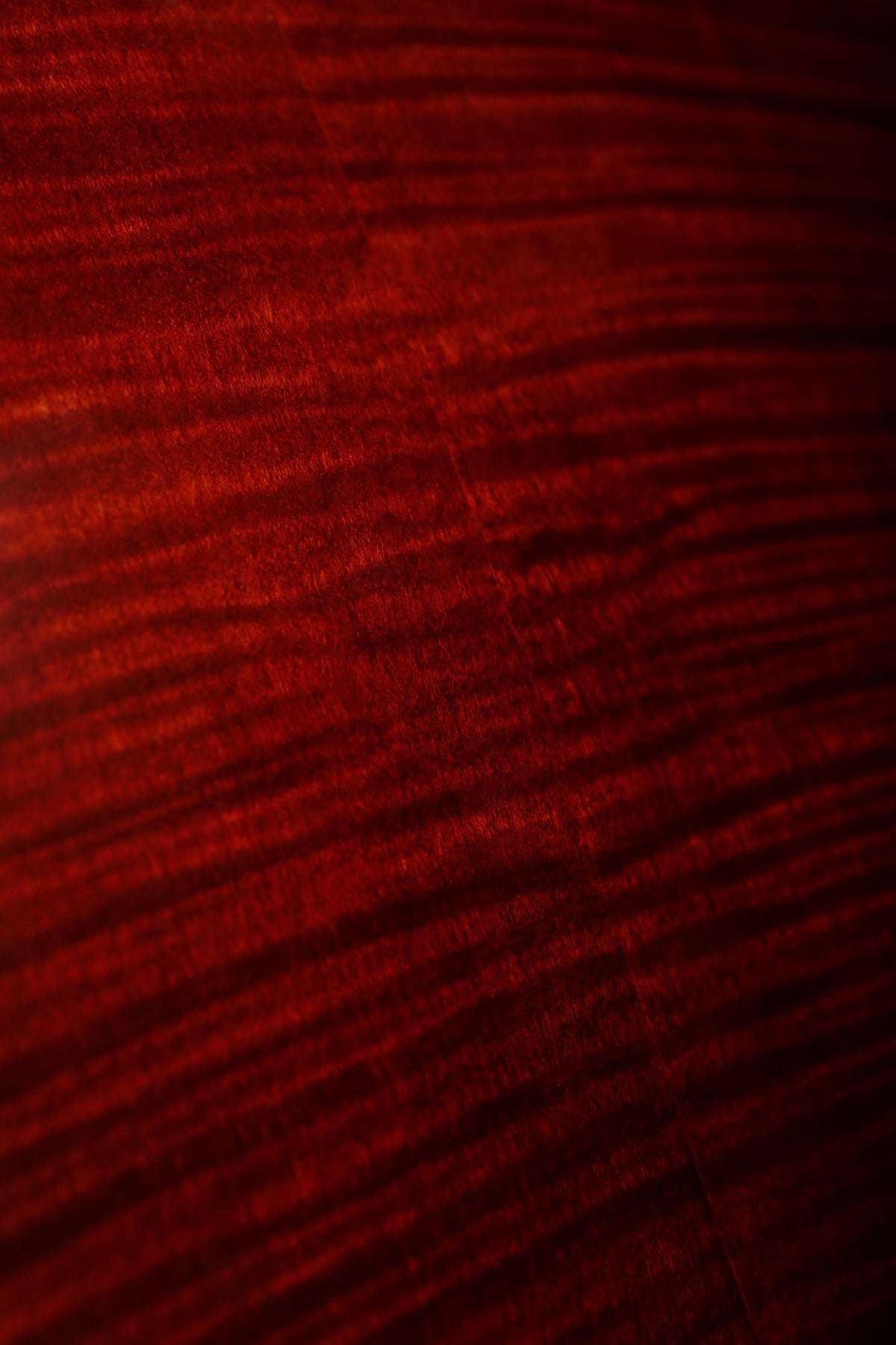 Eastman T484 'Classic Finish' Electric Guitar - Acoustic Centre Music Store, Melbourne Australia