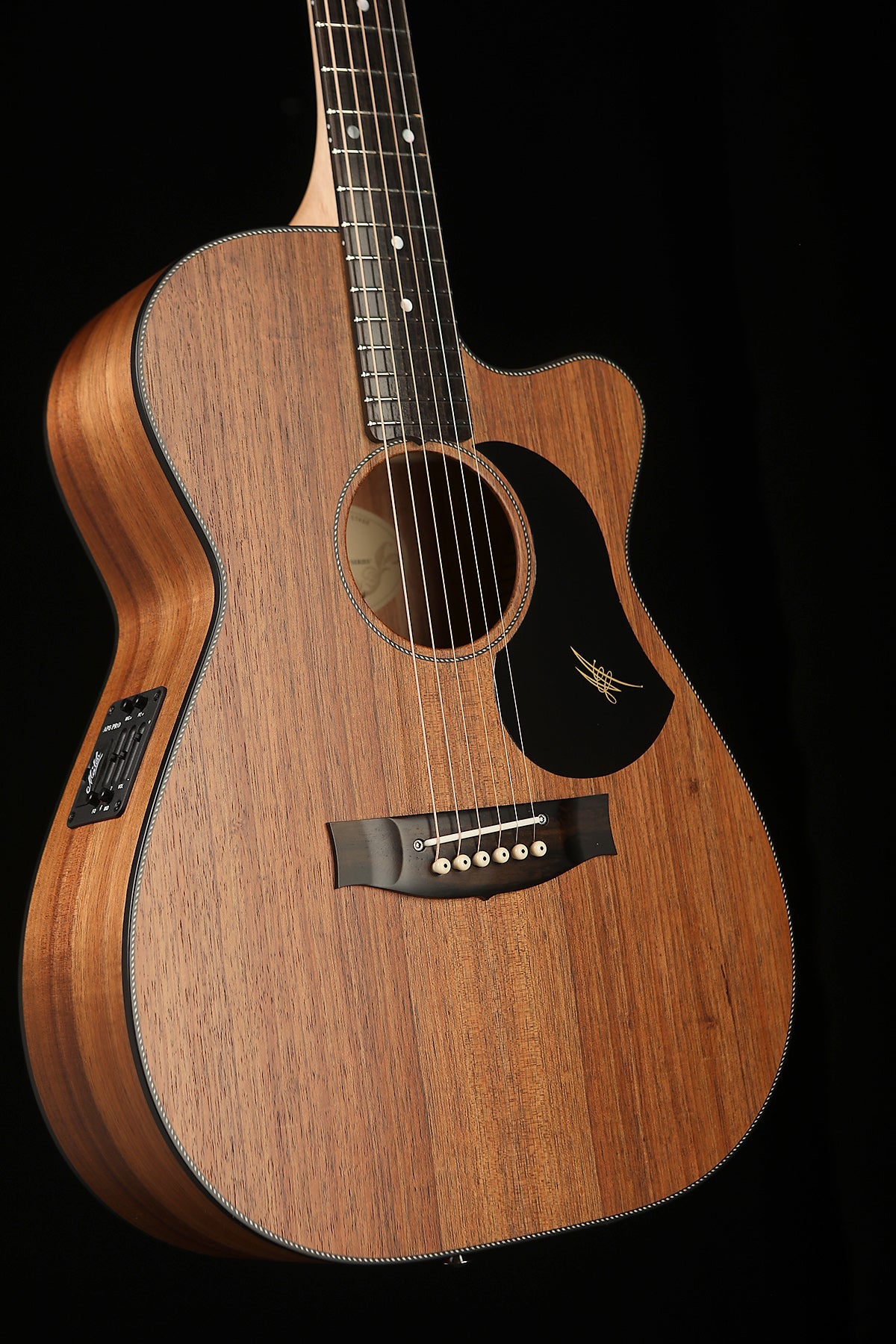 Maton EBW808C Blackwood Acoustic Electric Guitar - Acoustic Centre Music Store, Melbourne Australia