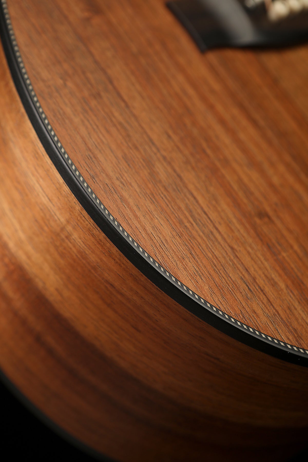 Maton EBW808C Blackwood Acoustic Electric Guitar - Acoustic Centre Music Store, Melbourne Australia